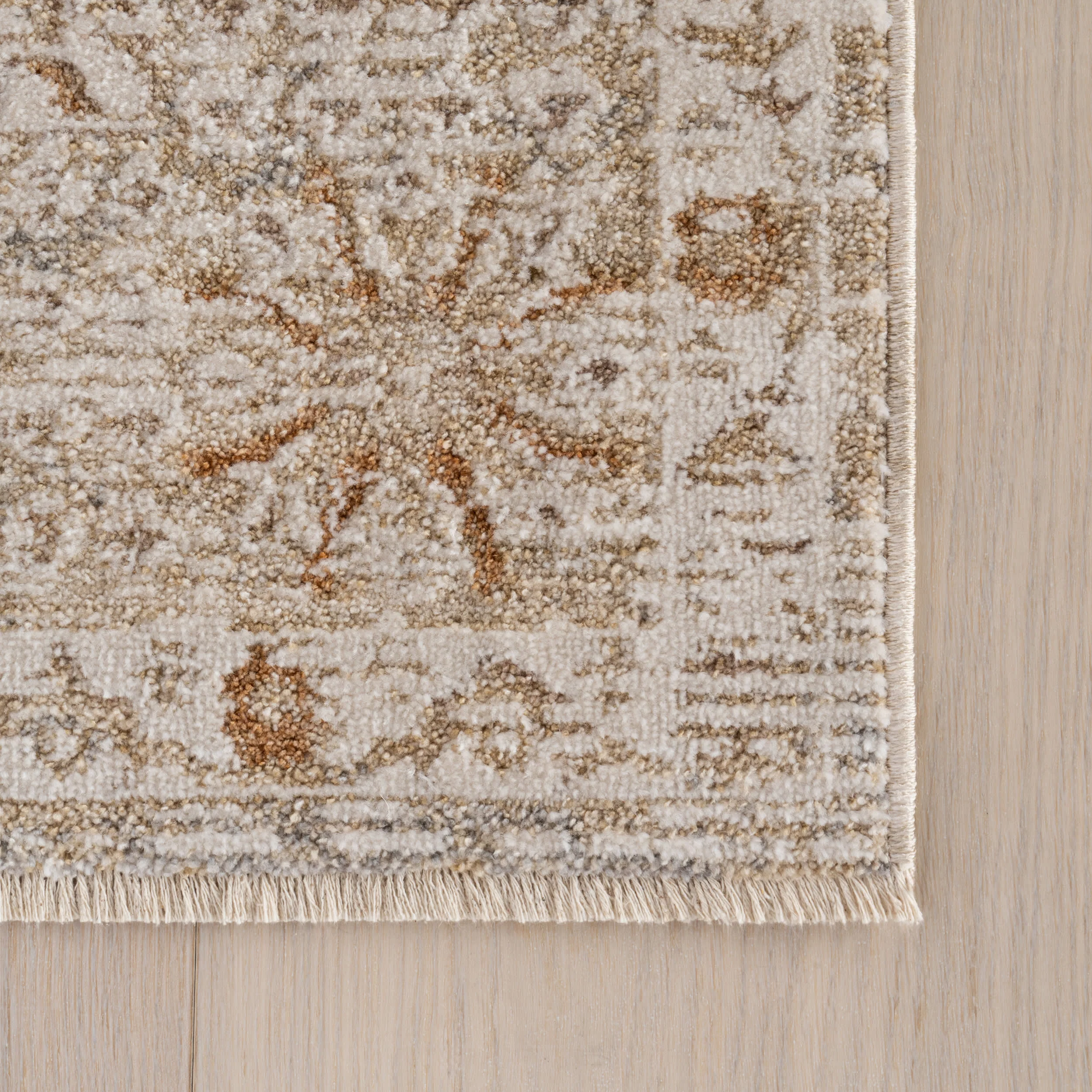 Alda Traditional Abstract Rug | Beige - Image 4