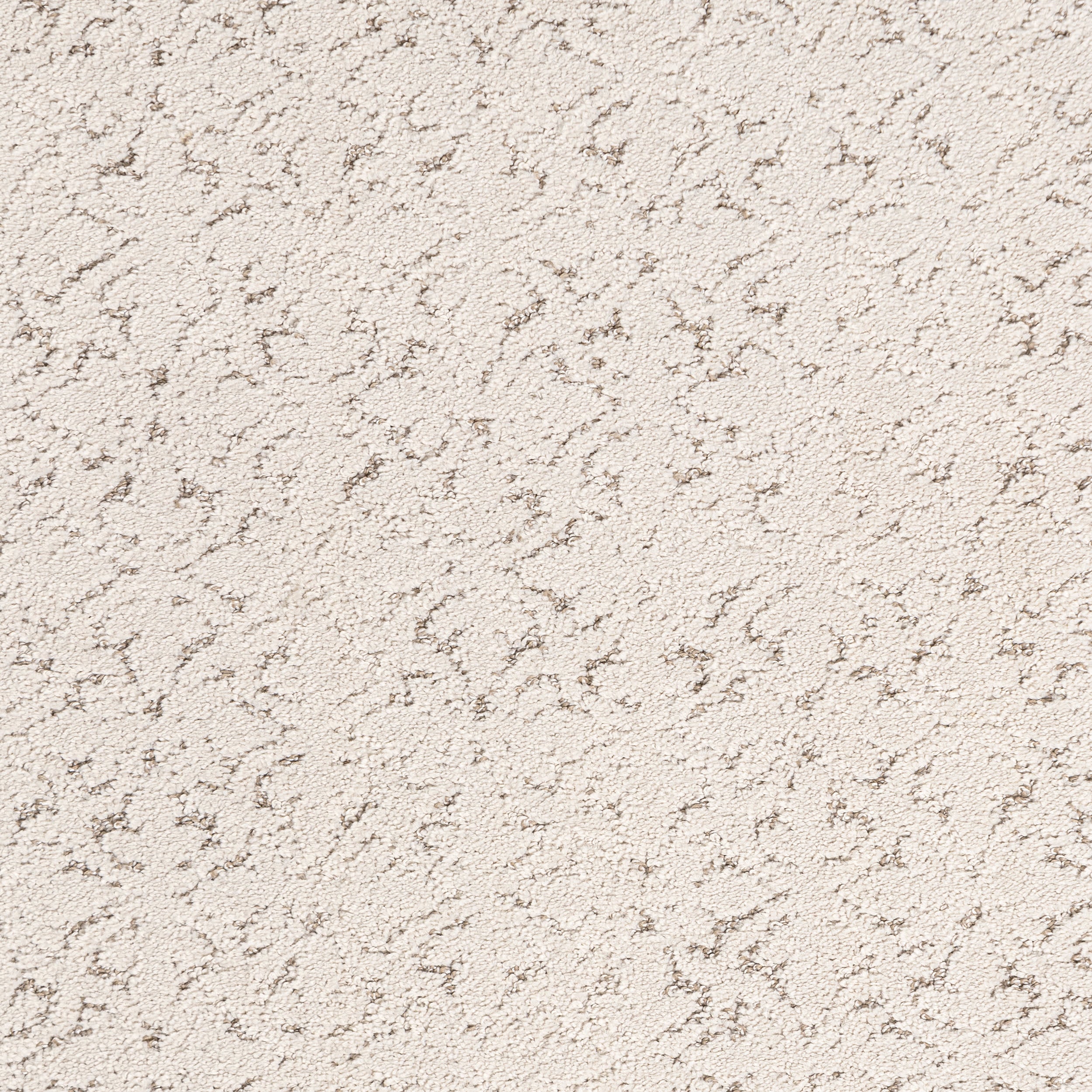 Ani Distressed Brocade Custom Rug | Beige - Image 4