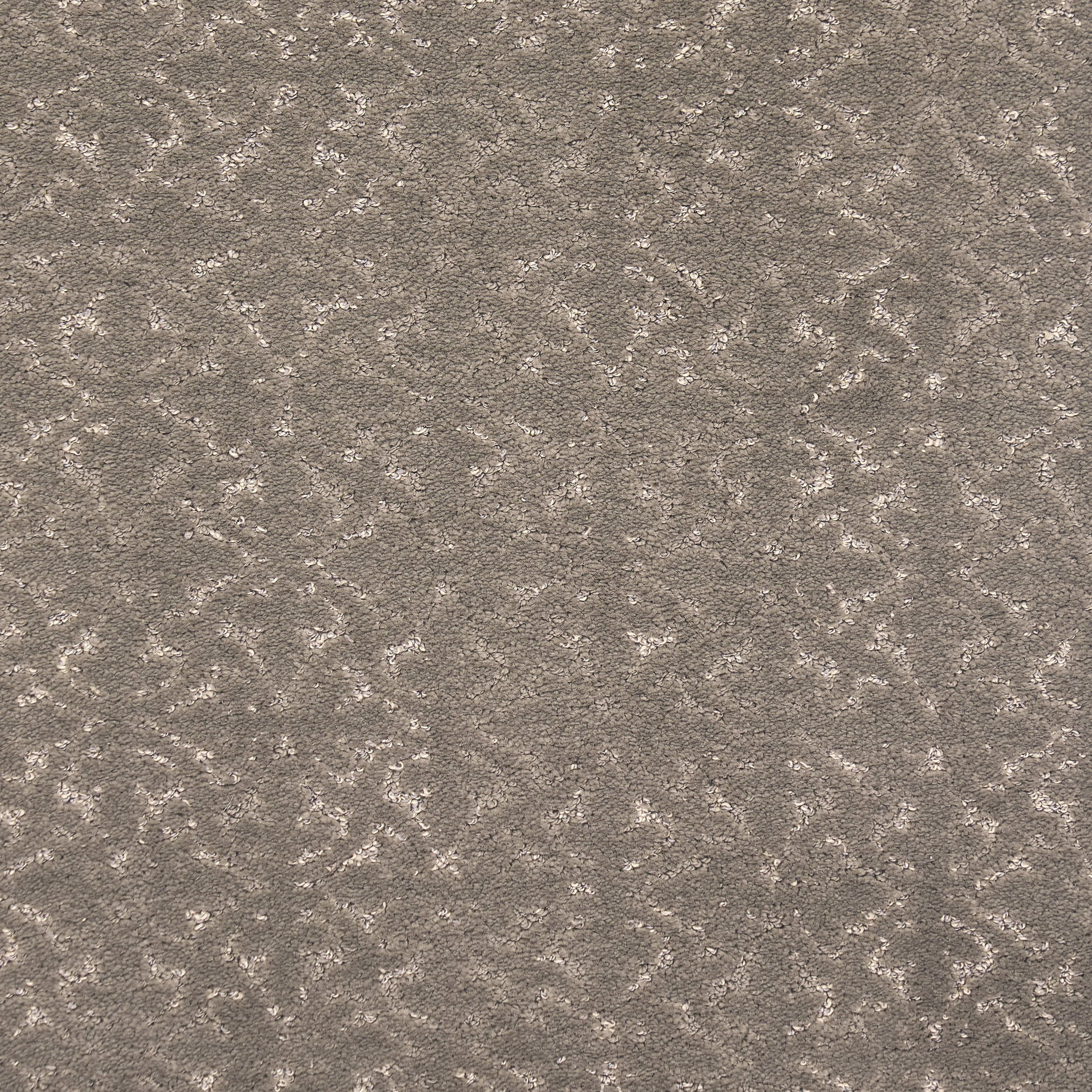 Ani Distressed Brocade Custom Rug | Grey - Image 4