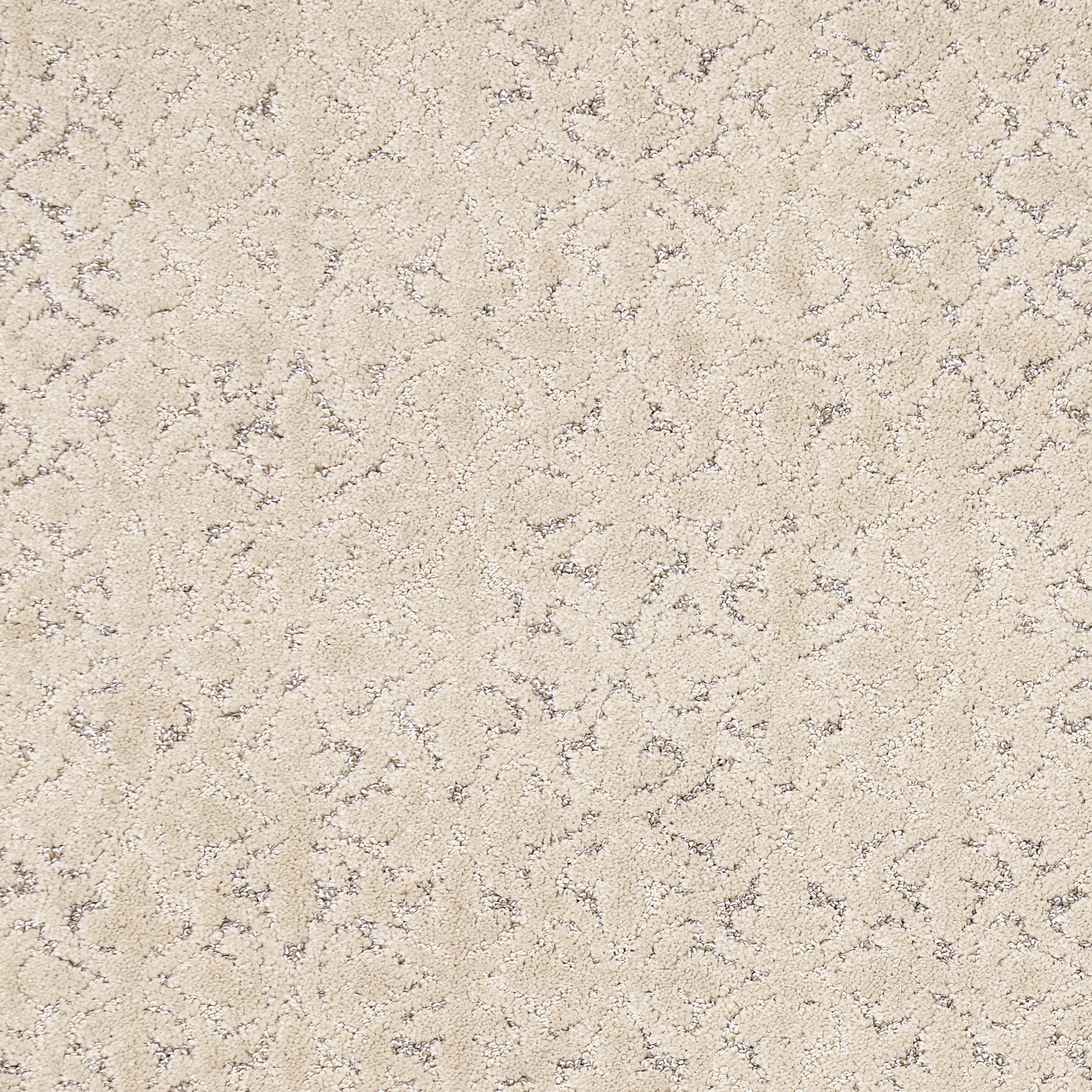 Ani Distressed Brocade Custom Rug | Tan - Image 4