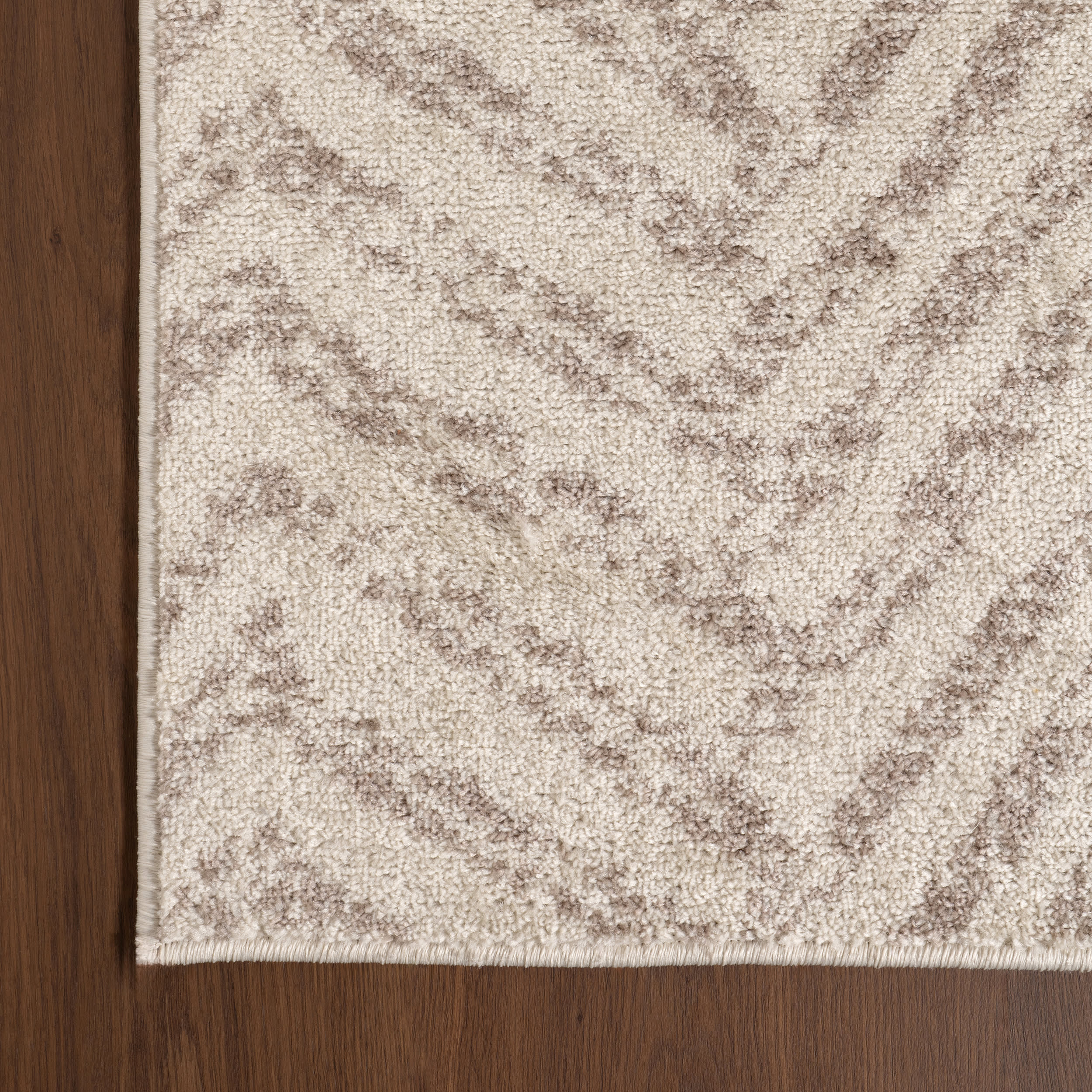 Antique Chevron Rug | Beige - Image 3