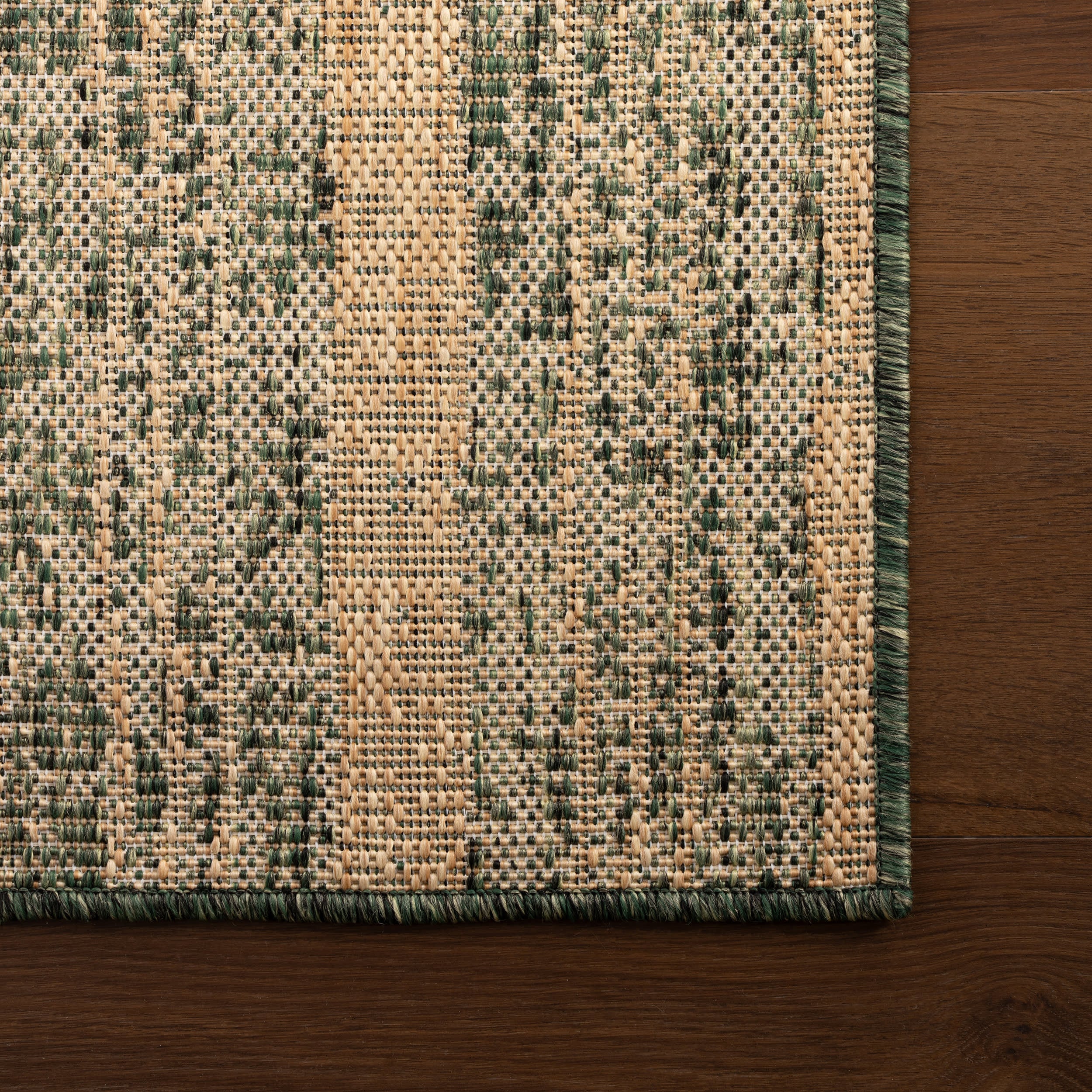 Auvrea Bohemian Abstract Indoor/Outdoor Rug | Green - Image 4