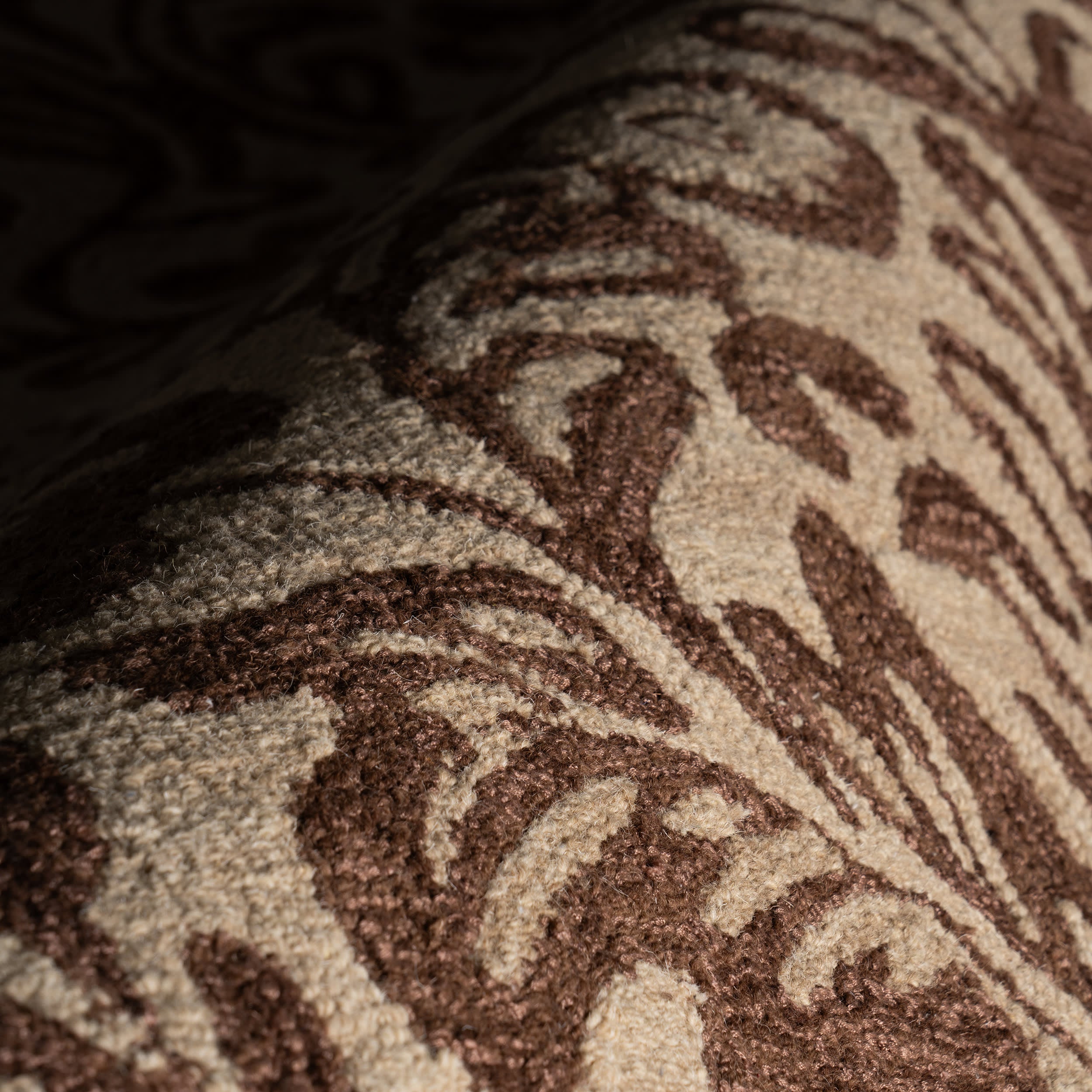Ayloh Transitional Floral and Paisley Rug | Brown - Image 3