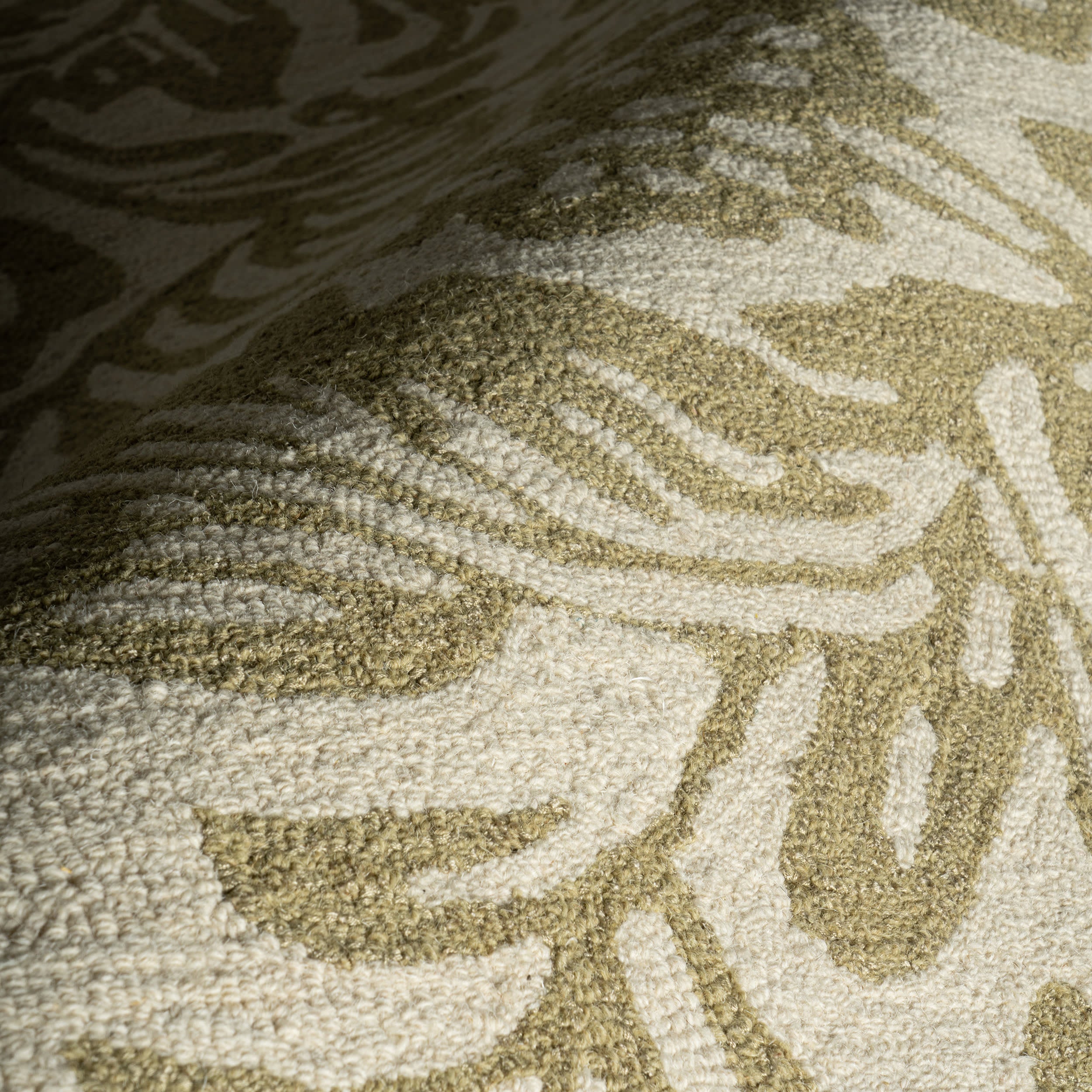 Ayloh Transitional Floral and Paisley Rug | Olive - Image 3