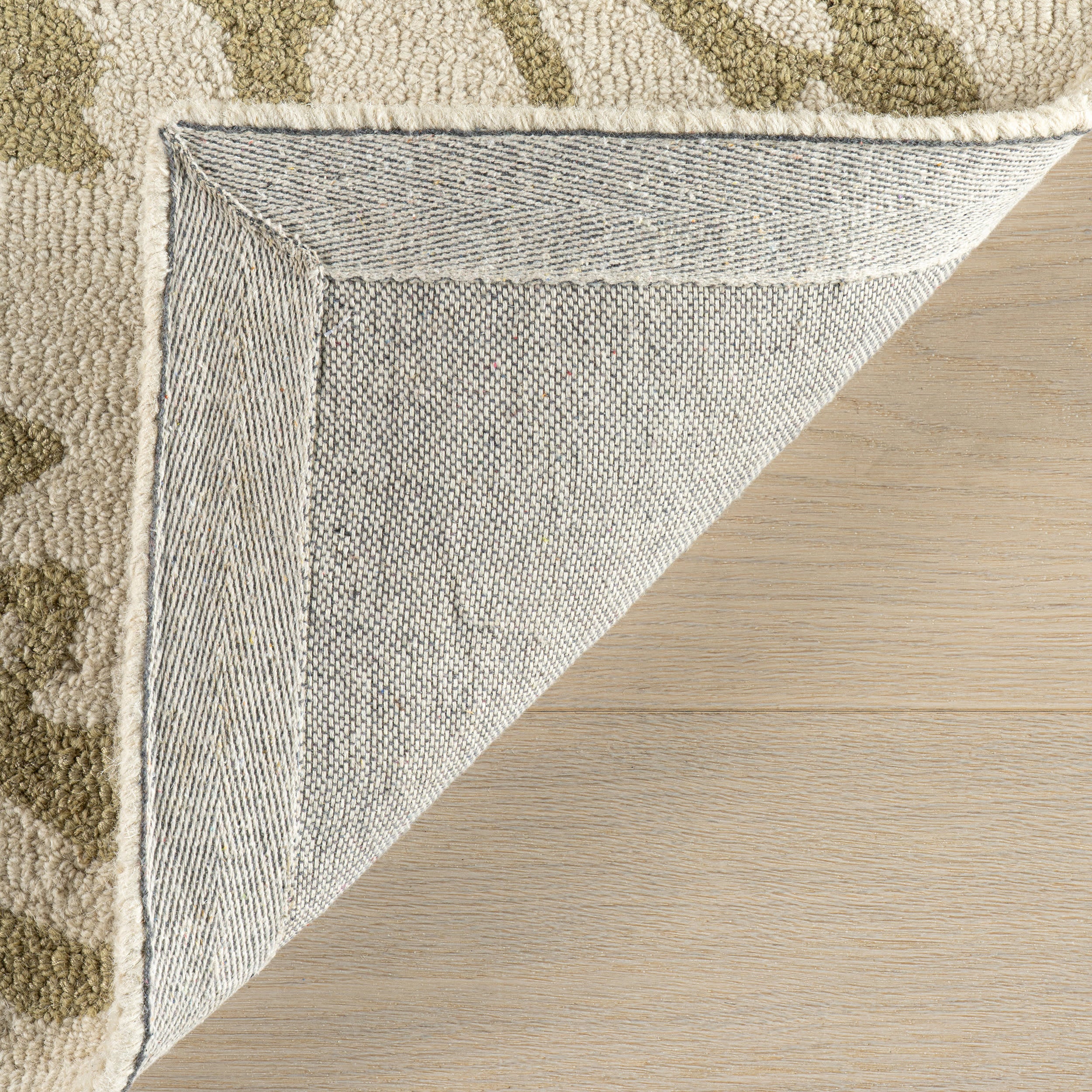 Ayloh Transitional Floral and Paisley Rug | Olive - Image 6