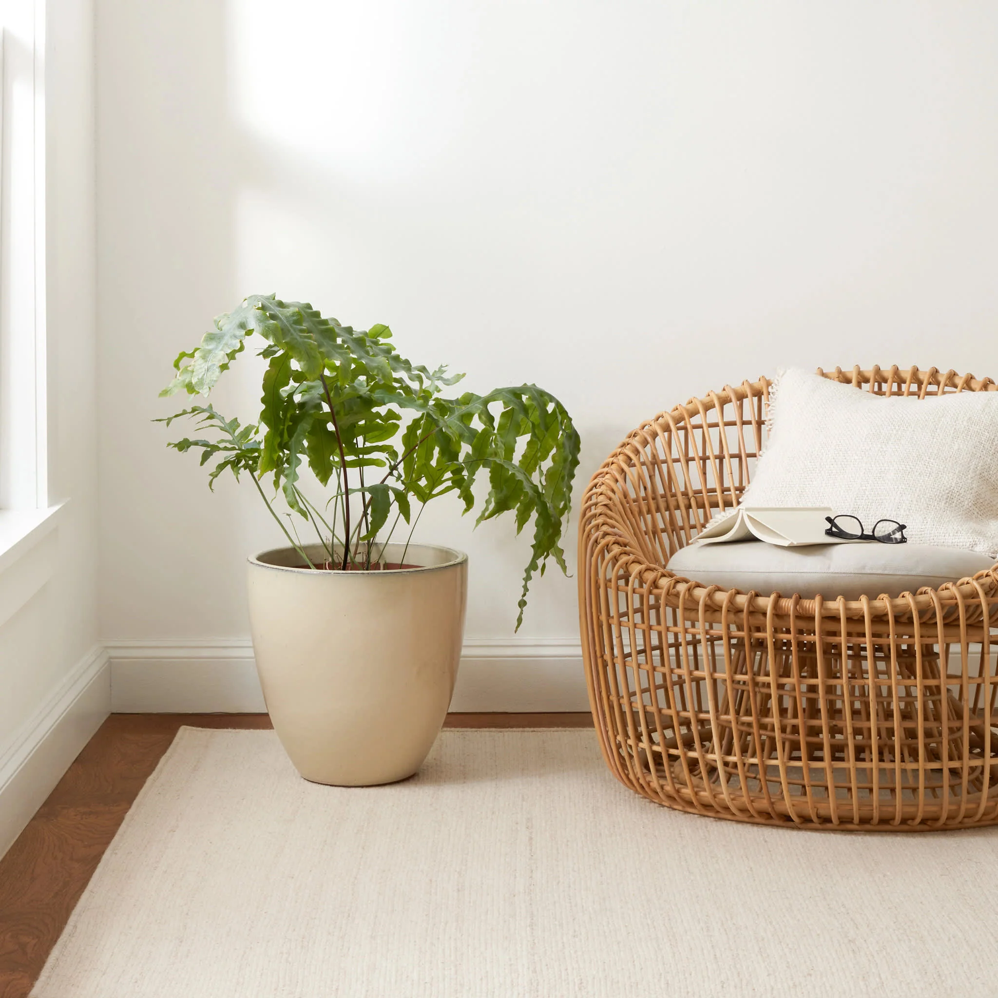 Barlow Woven Wool Custom Rug | Ivory - Image 2