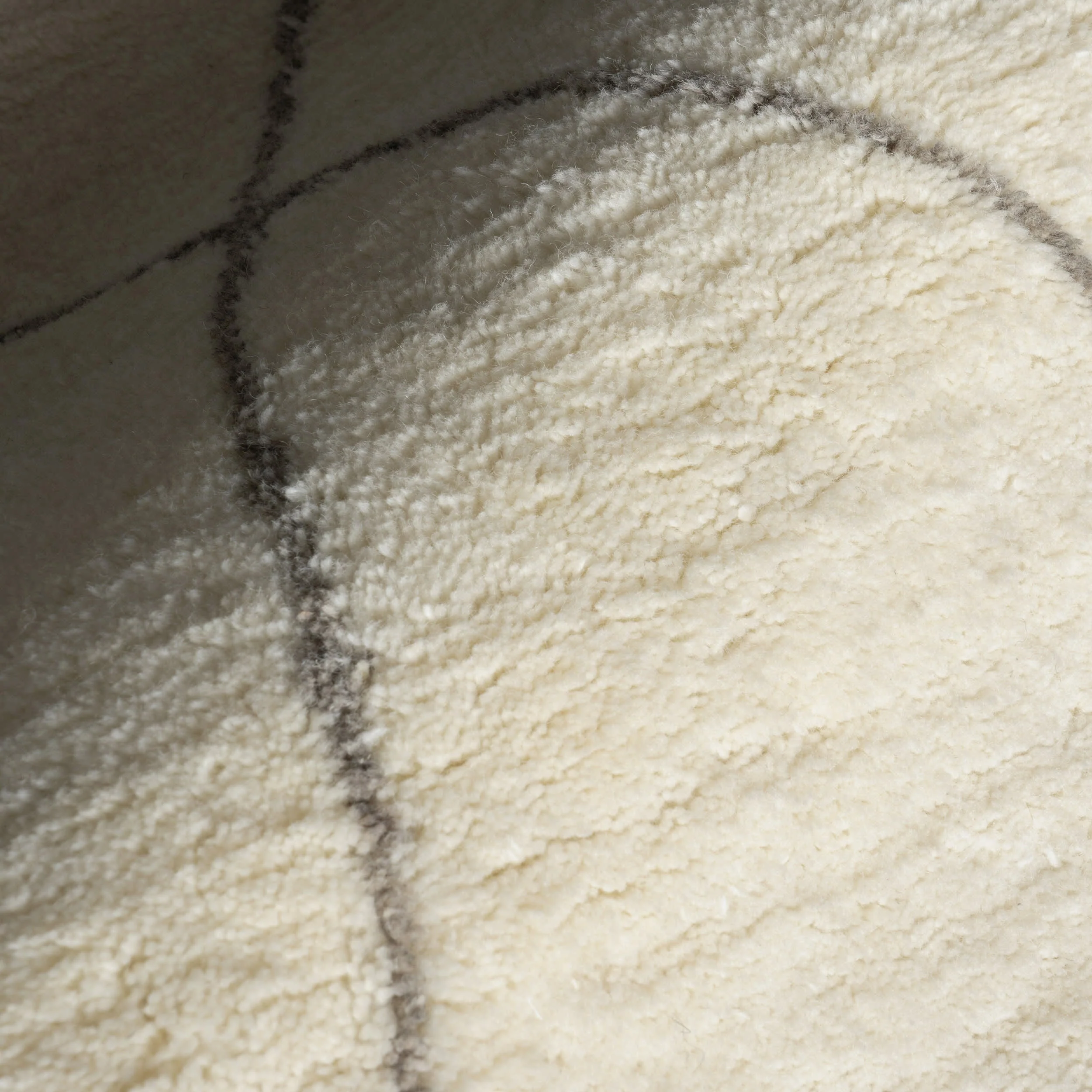 Beachwood Trellis Wool Rug | Ivory - Image 3