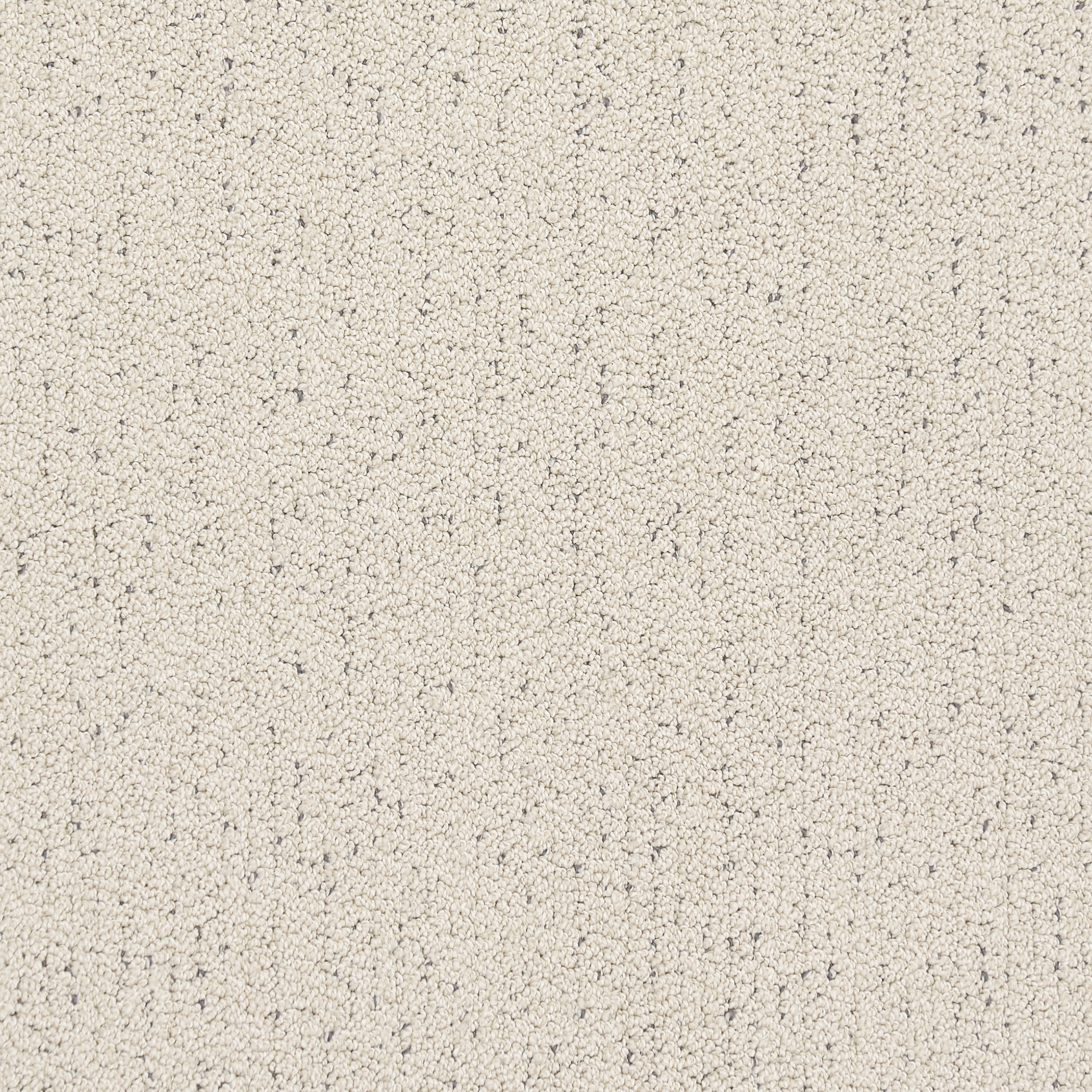 Bittern Speckled Custom Rug | Beige - Image 4