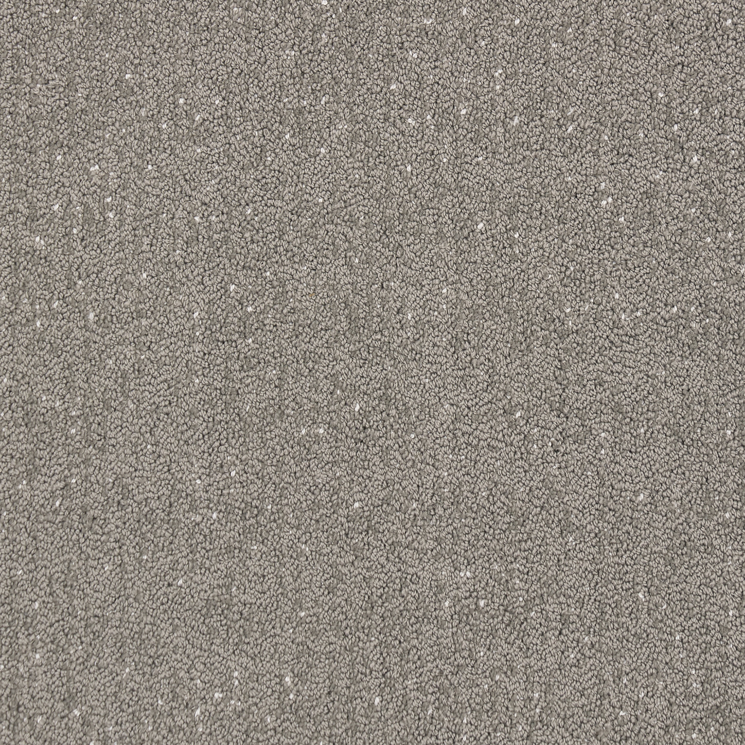 Bittern Speckled Custom Rug | Grey - Image 4