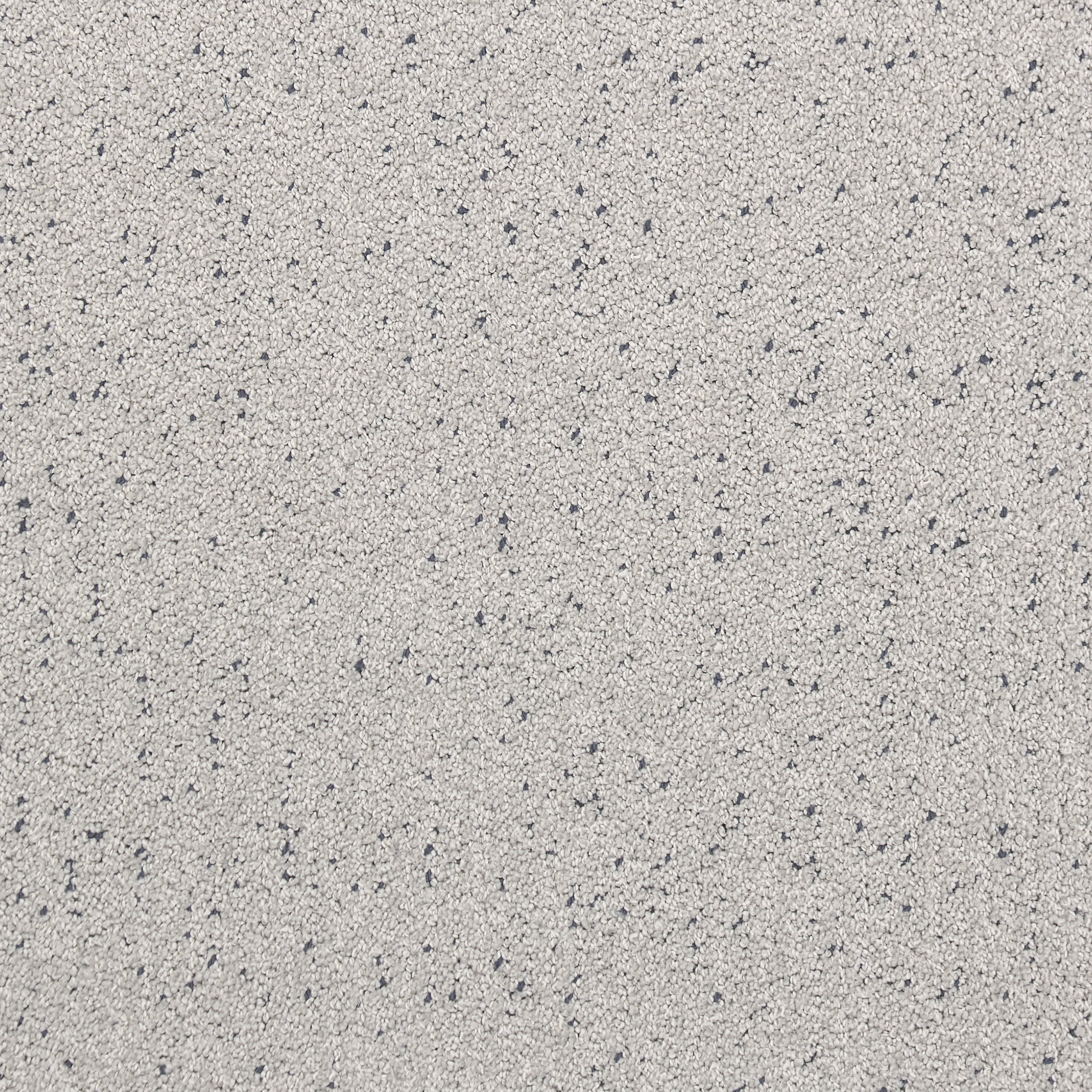 Bittern Speckled Custom Rug | Light Grey - Image 4