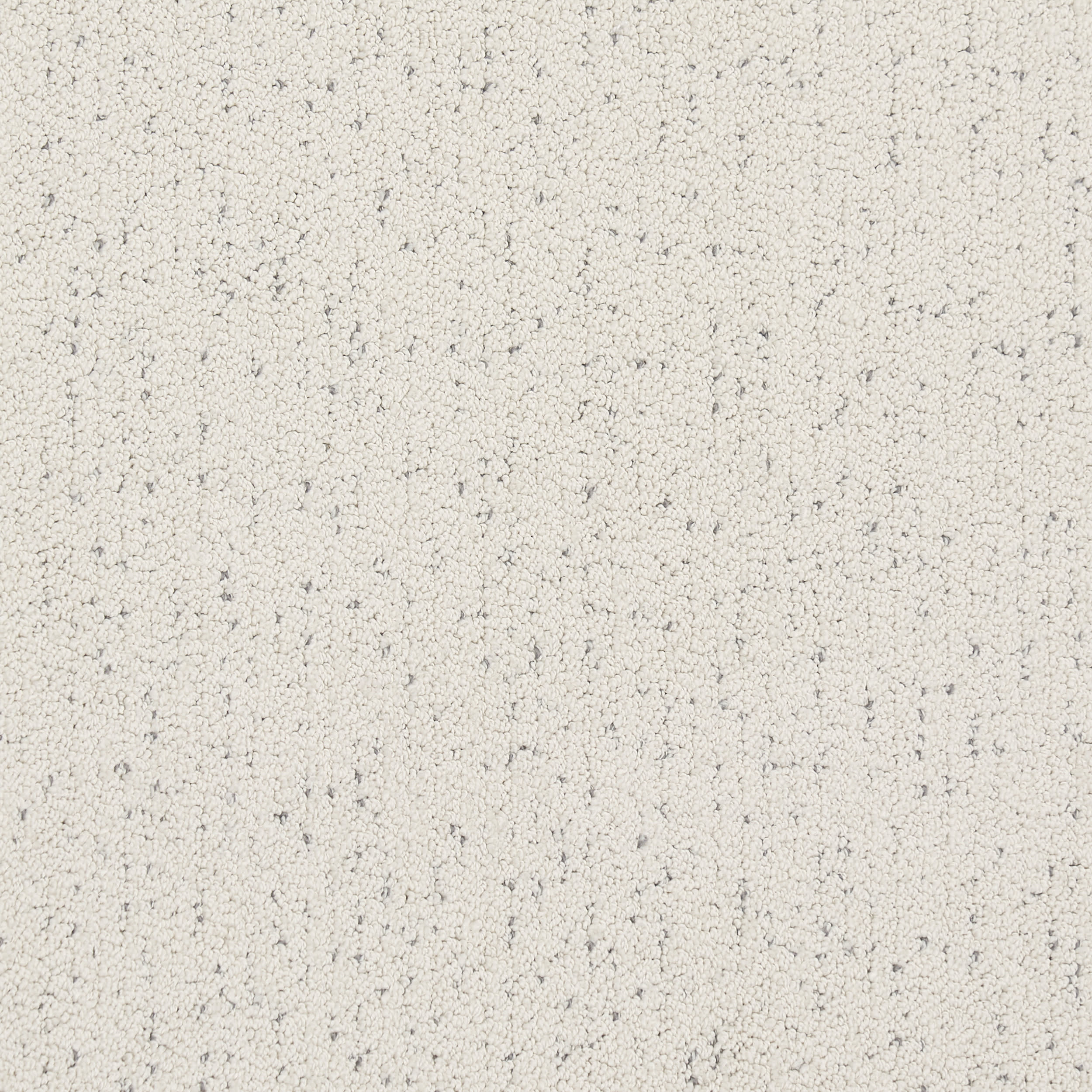 Bittern Speckled Custom Rug | Off White - Image 4