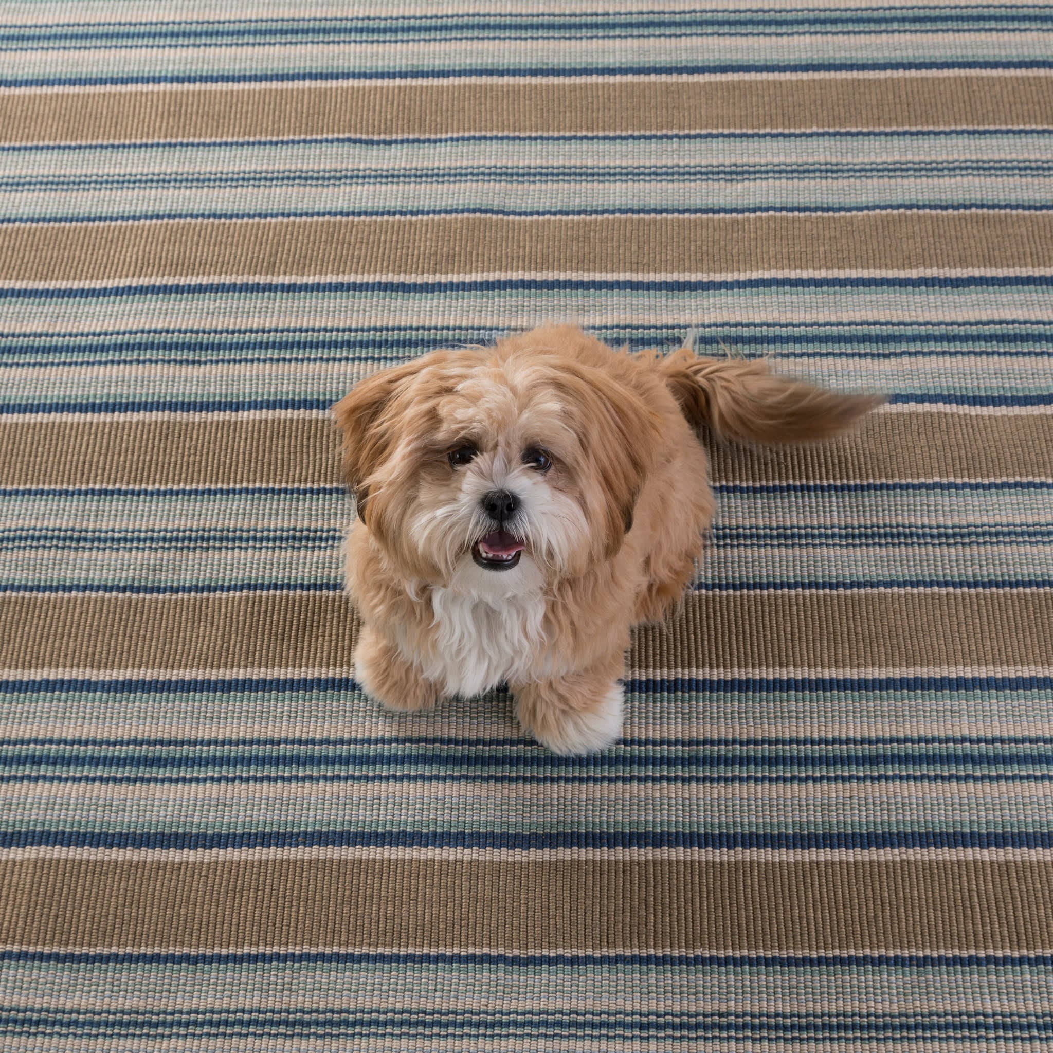 Heron Stripe Handwoven Indoor/Outdoor Rug | Blue - Image 5