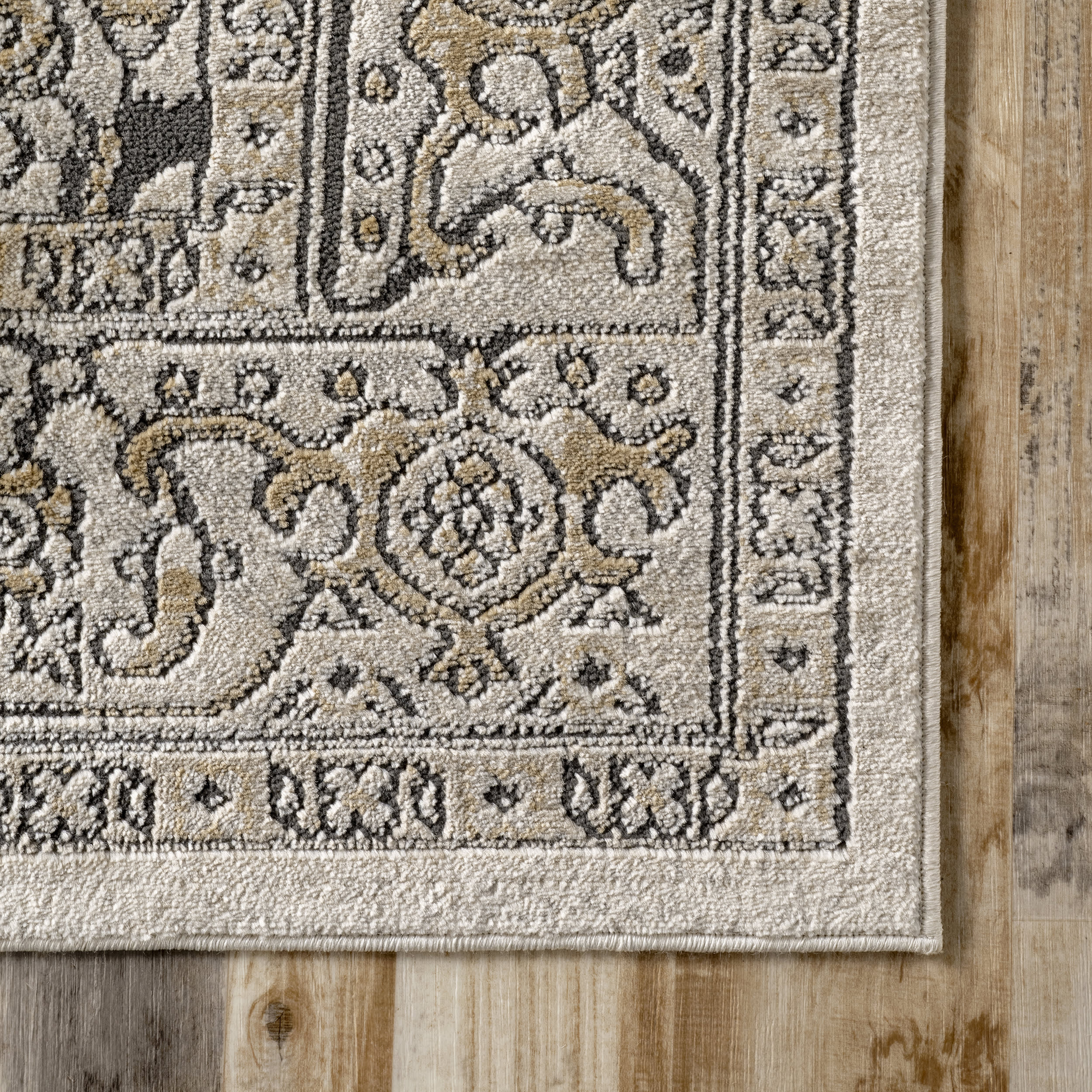 Bordered Medallion Rug | Beige - Image 3