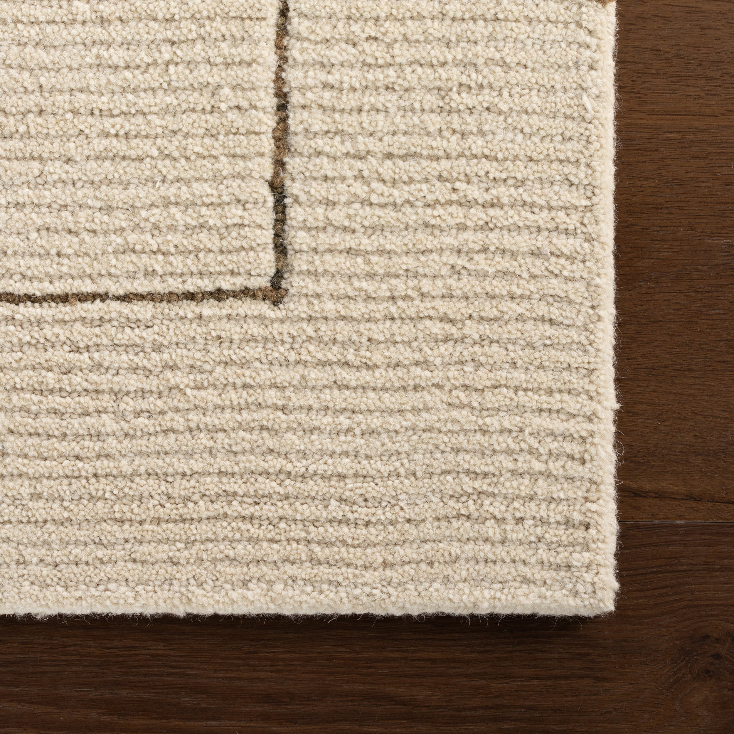 Caligo Mid Century Modern Bordered Rug | Brown - Image 3