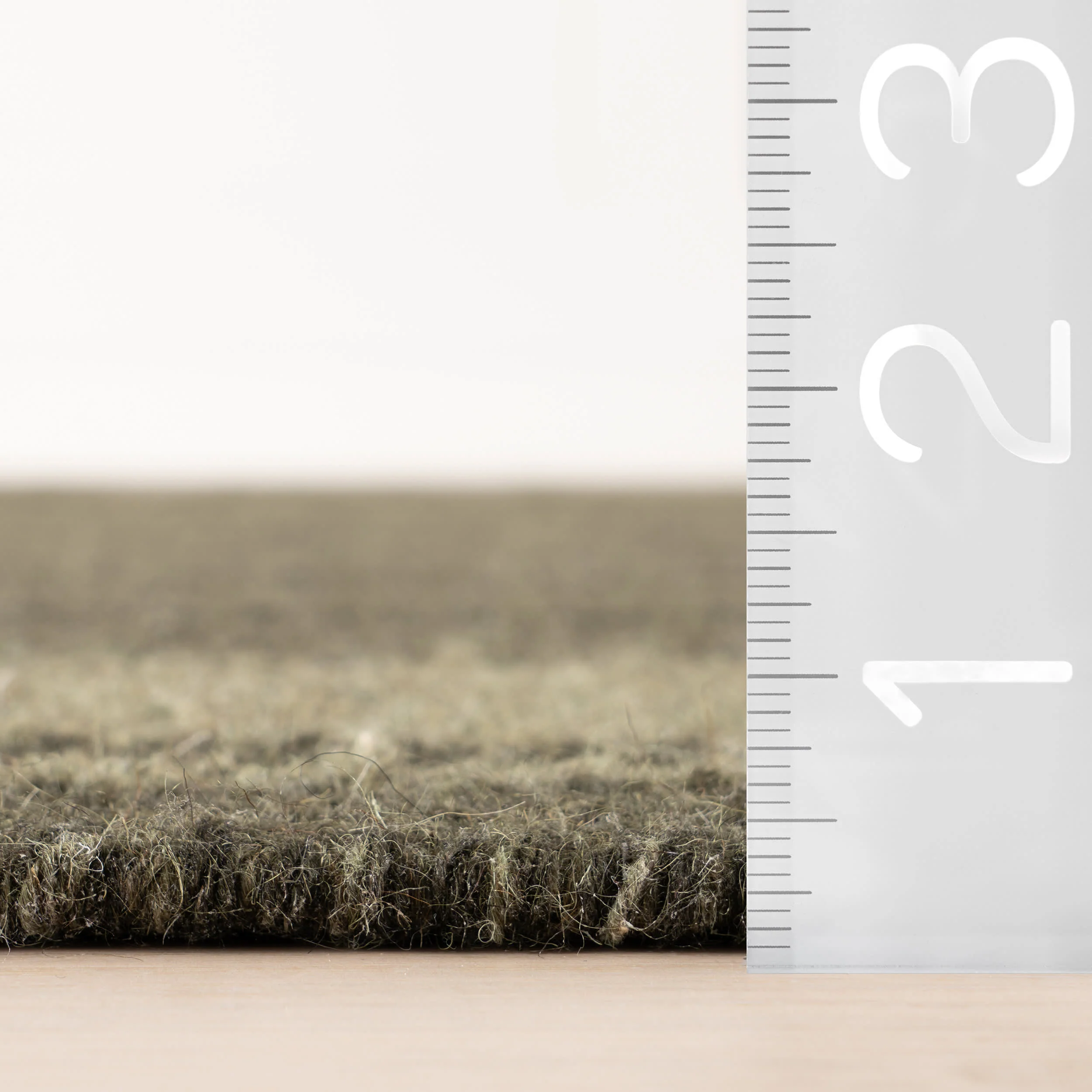 Canon Bordered Wool Rug by Nate Berkus | Green - Image 5