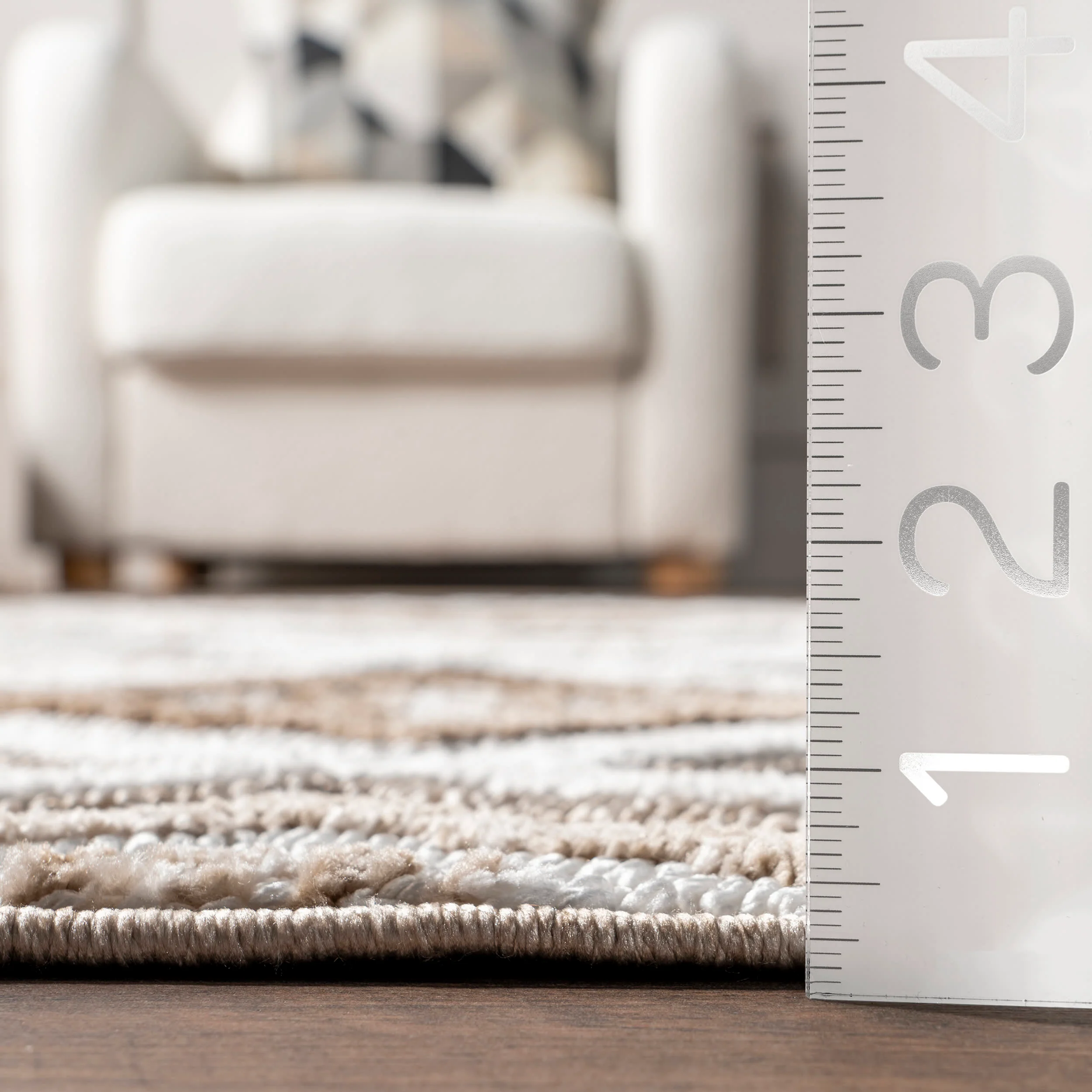 Cathleen Iridescent Bordered Rug | Ivory - Image 5