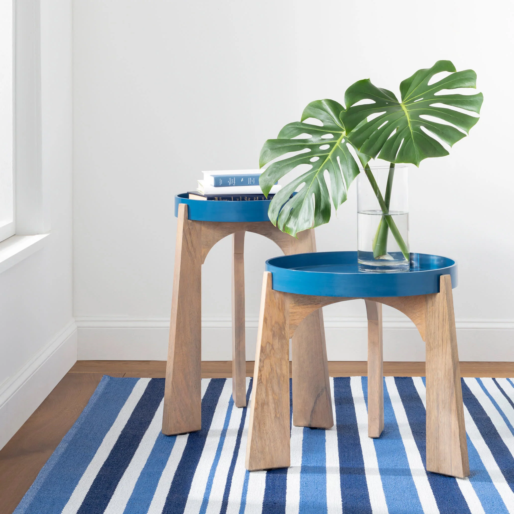 Charlie Stripe Handwoven Indoor/Outdoor Rug | Blue - Image 2