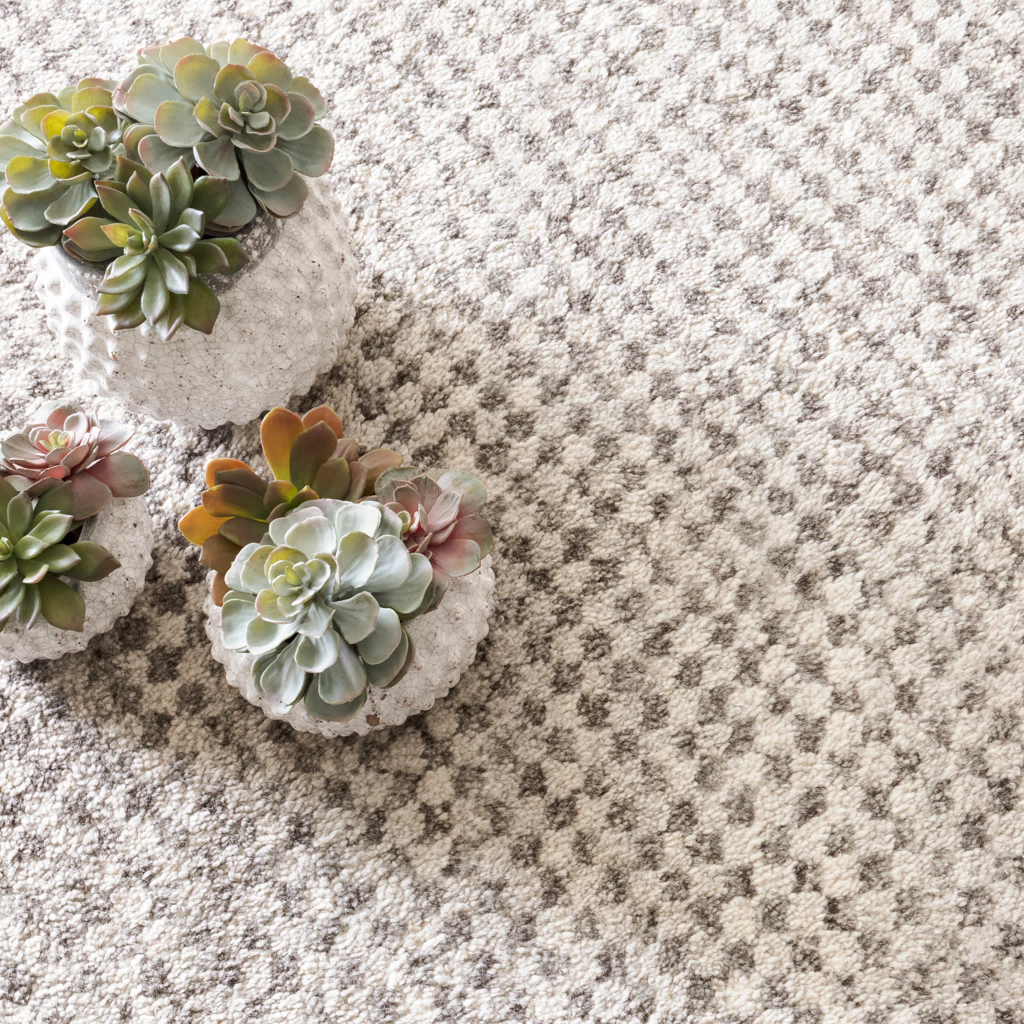 Citra Hand Knotted Wool Rug | Grey - Image 2