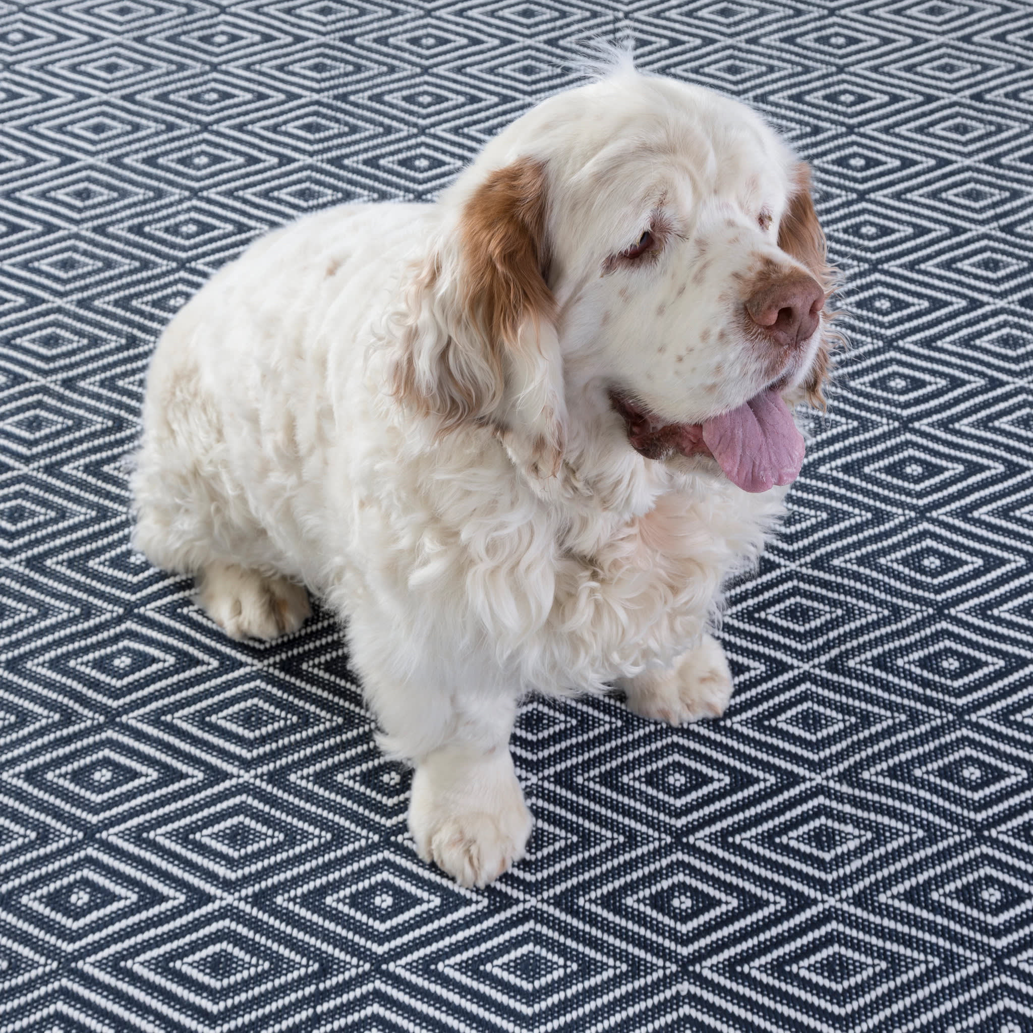 Diamond Handwoven Indoor/Outdoor Rug | Navy/Ivory - Image 2