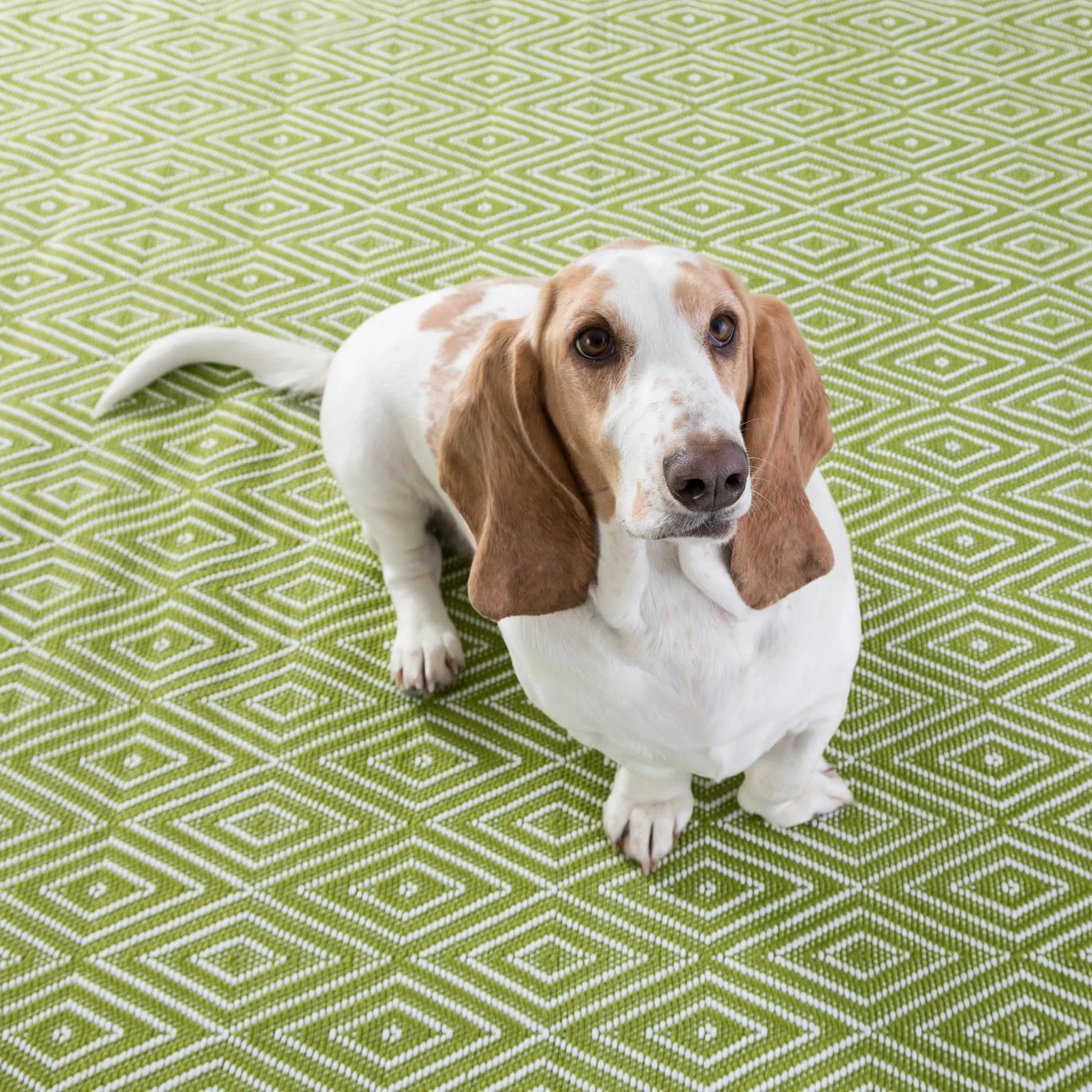 Diamond Handwoven Indoor/Outdoor Rug | Sprout/White - Image 5