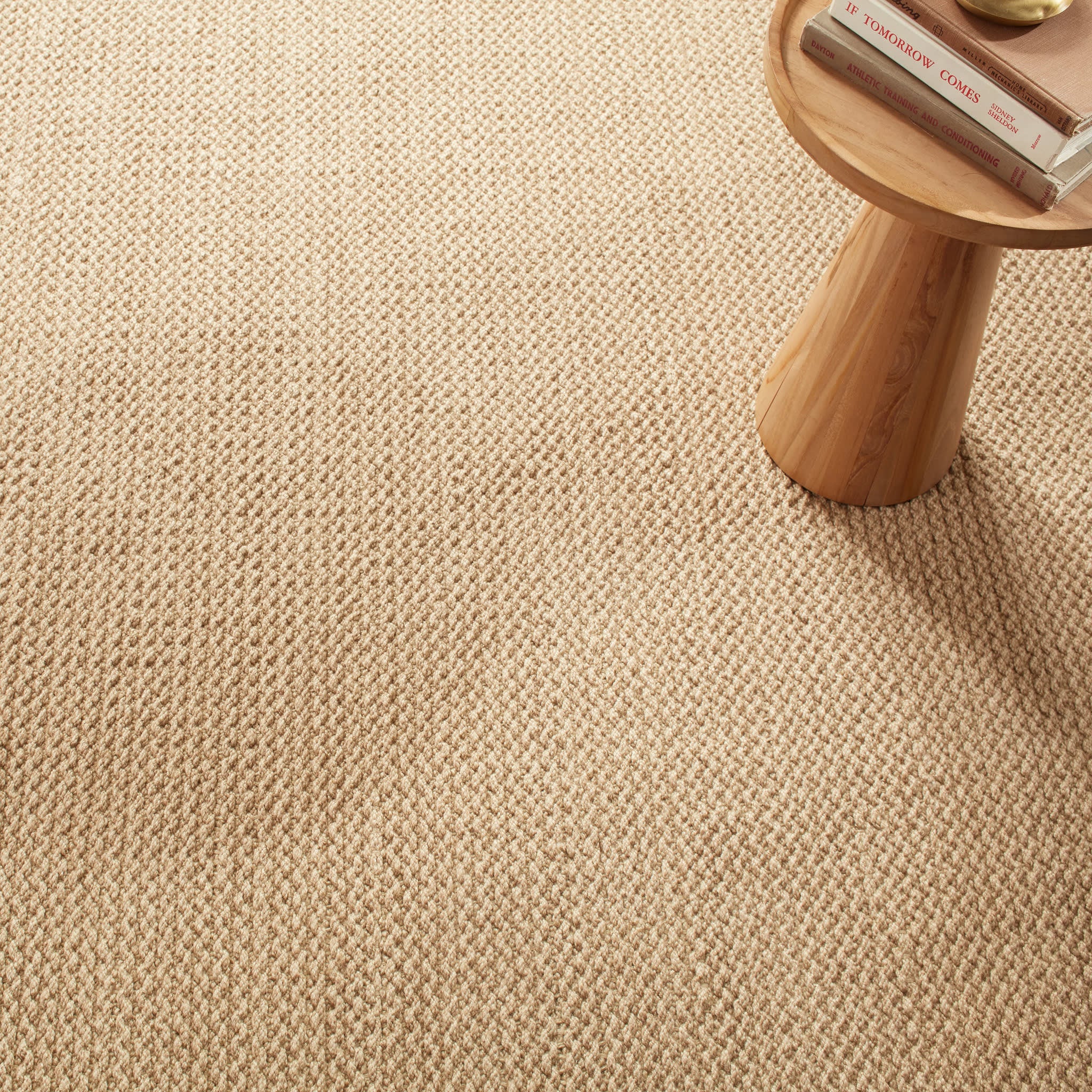 Donovan Handwoven Performance Rug | Natural - Image 2