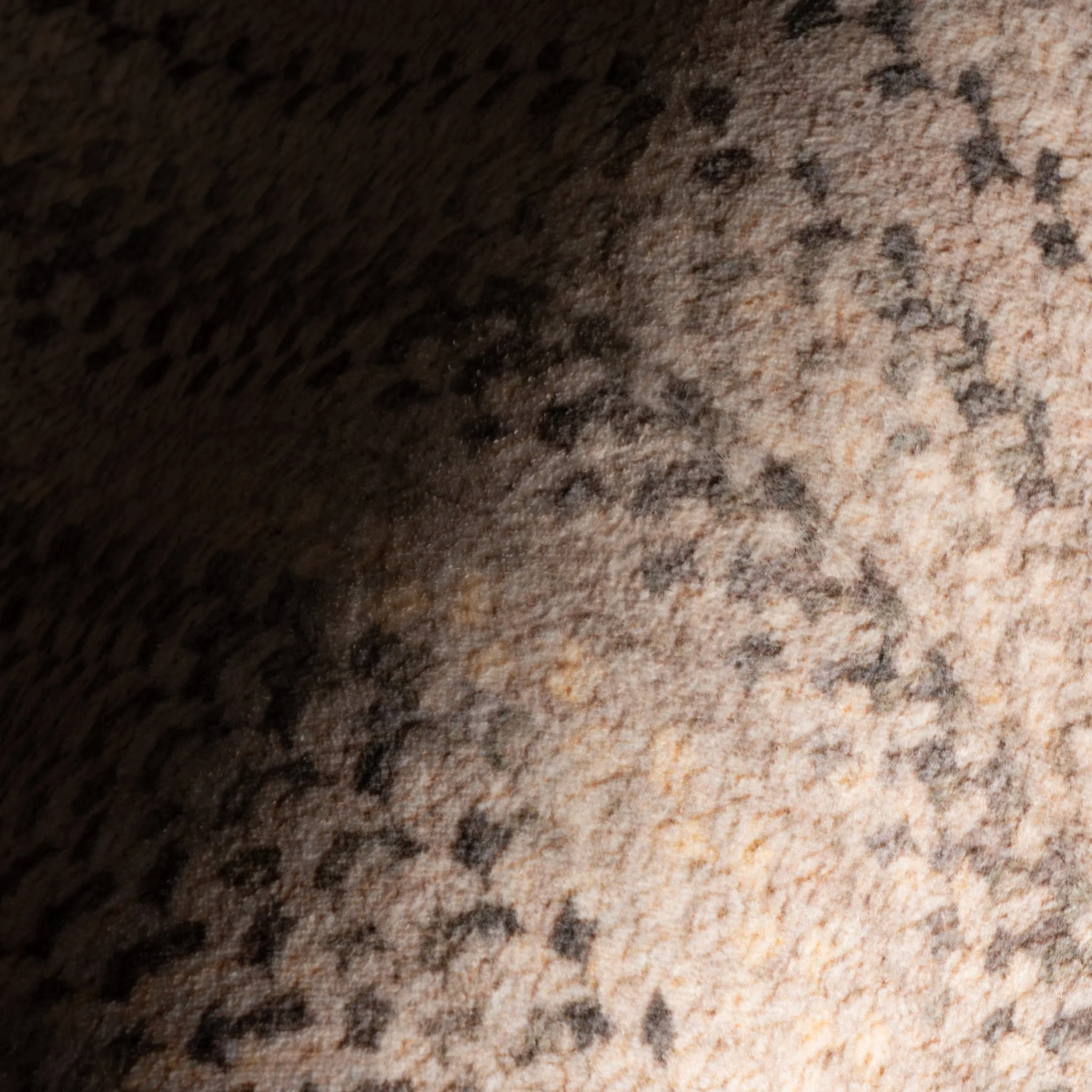 Ebonelle Bordered Bohemian Washable Rug | Natural - Image 3