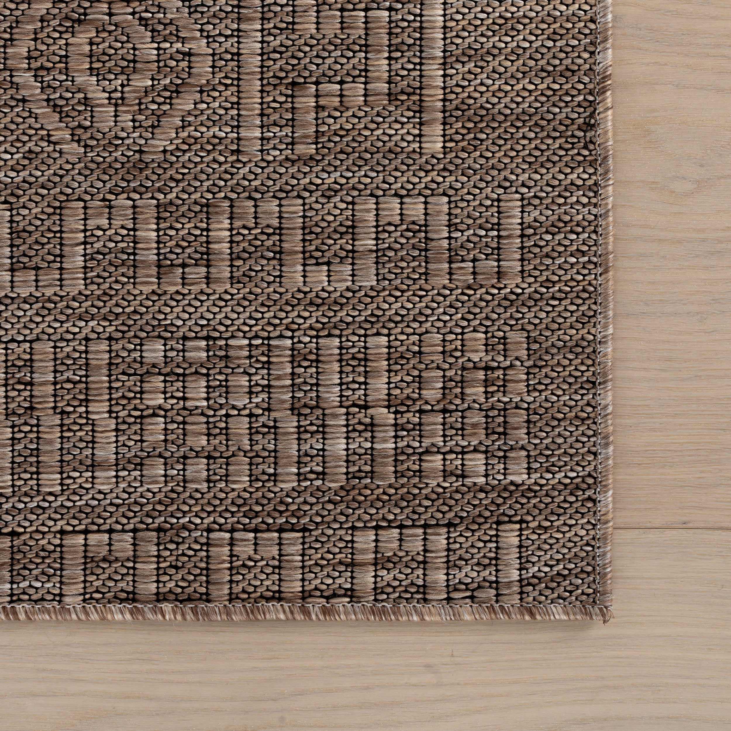 Eiraz Contemporary Solid Indoor/Outdoor Rug | Brown - Image 4