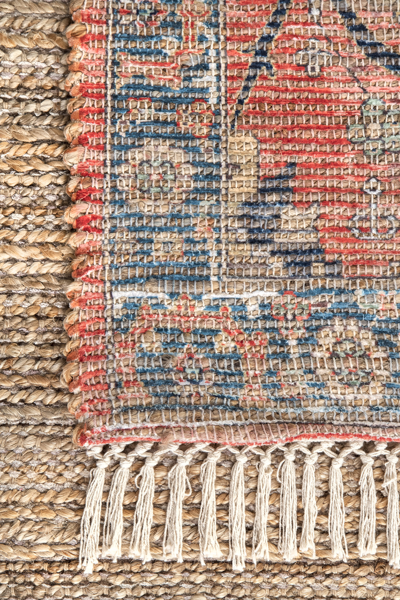 Faded Grace Tassel Rug | Multicolor - Image 3