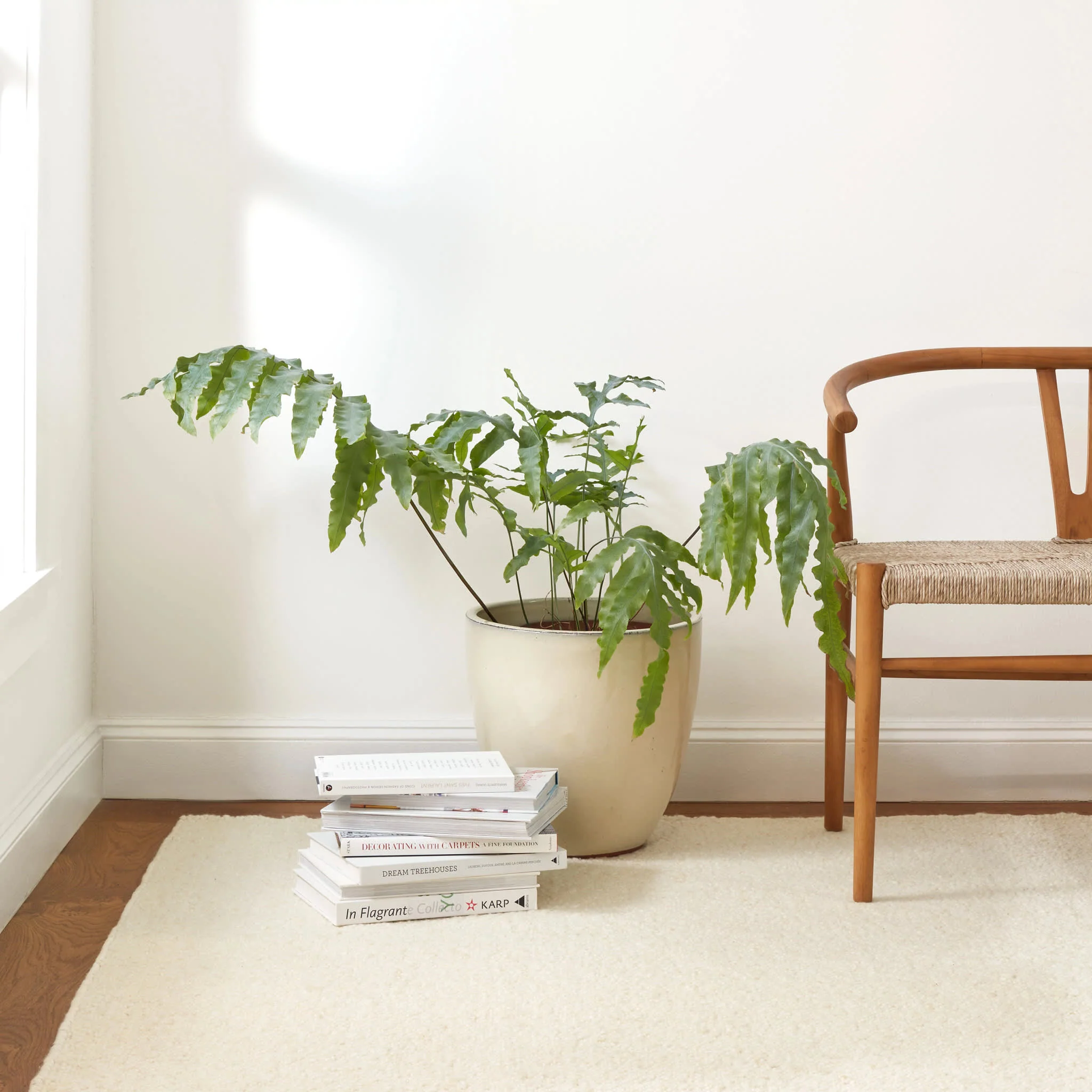 Holmstead Handwoven Wool Rug | Ivory - Image 3