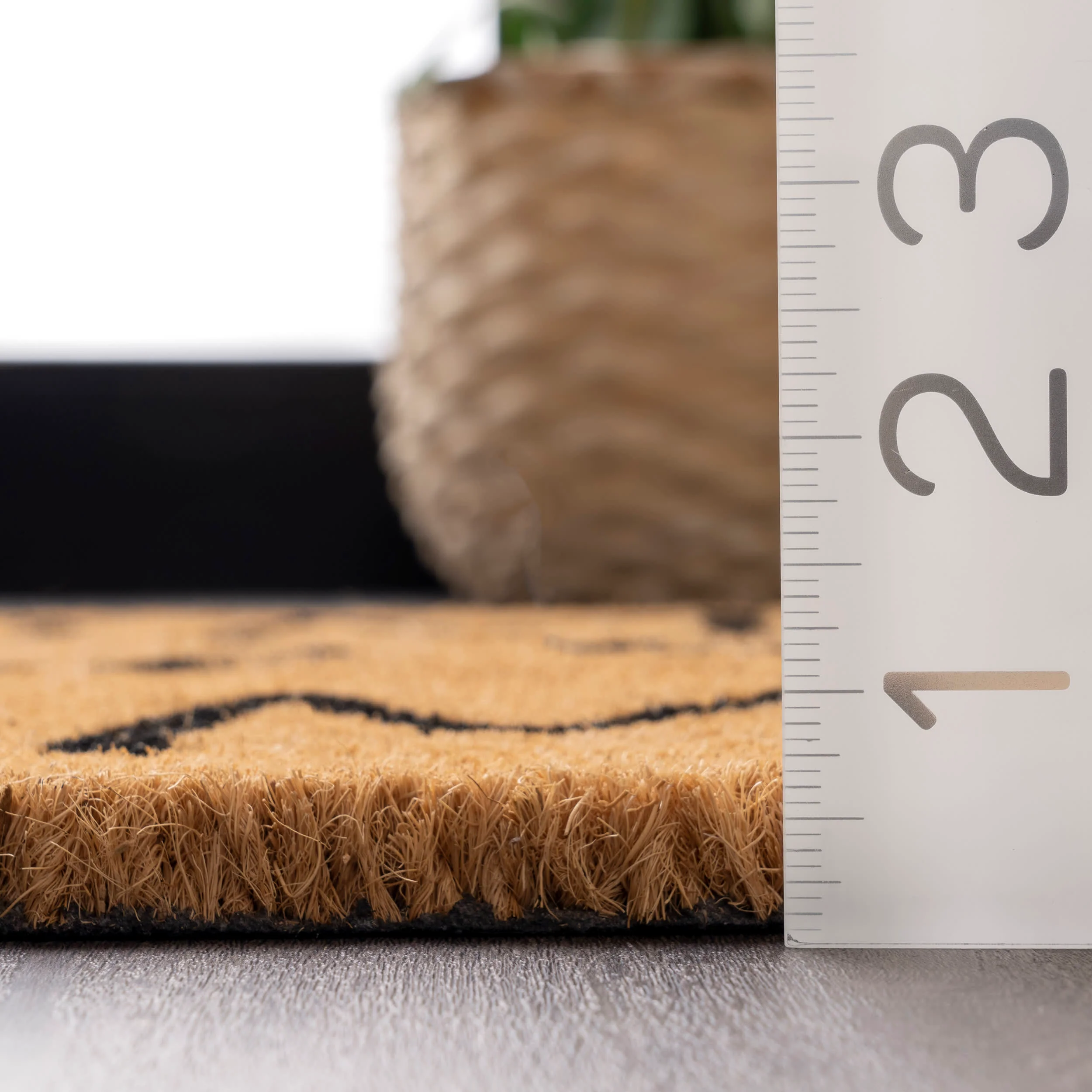 Home Sweet Home Coir Doormat | Natural - Image 4