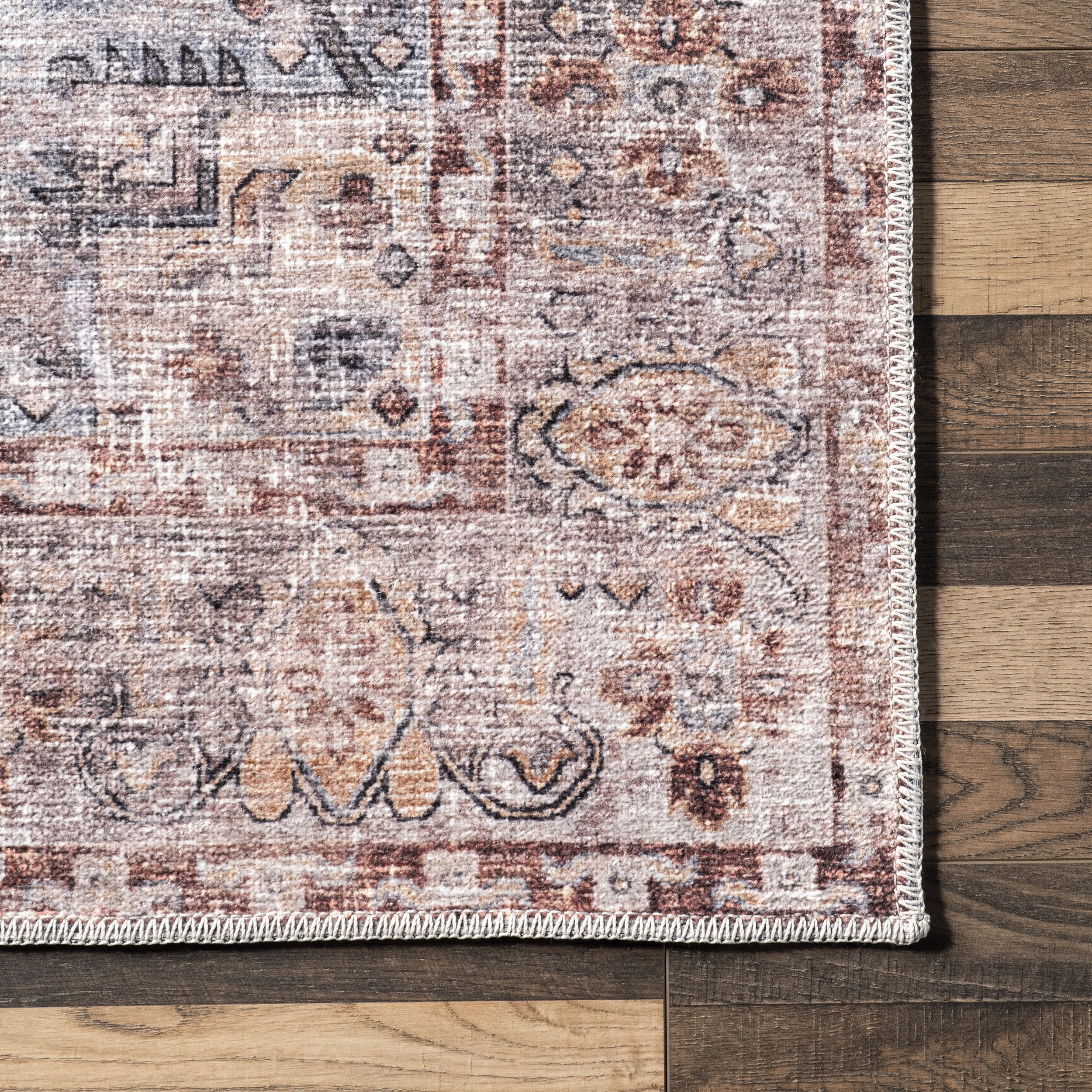Jaqueline Antique Gilded Rug | Rust - Image 3
