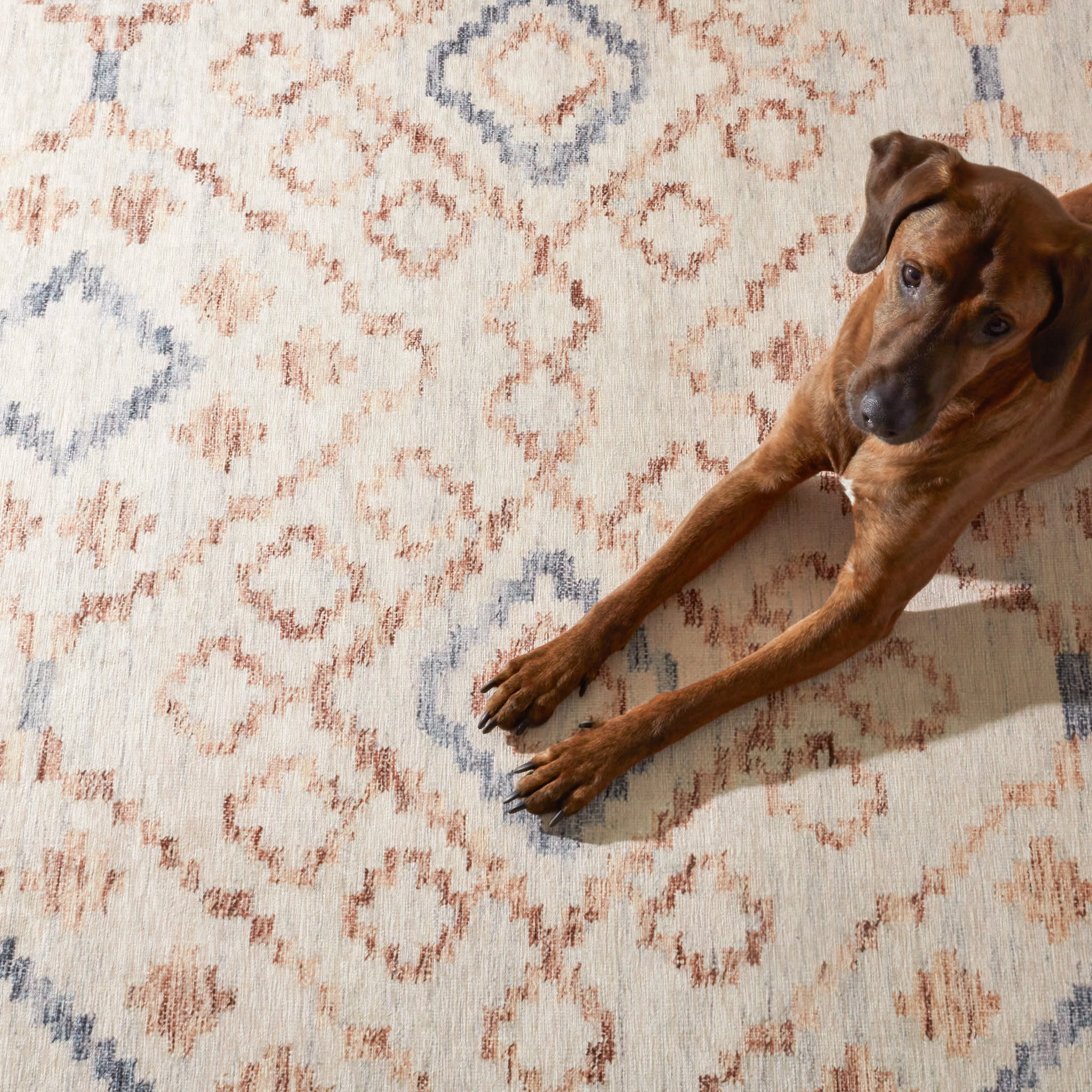 Jelly Roll Machine Washable Rug | Sky - Image 4