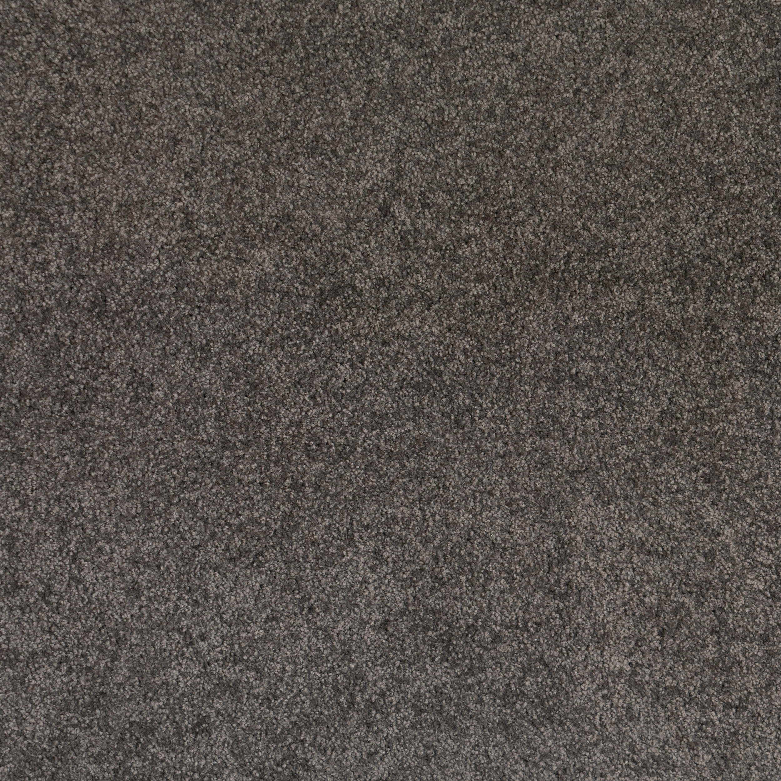 Kingfisher Shag Custom Rug | Chocolate - Image 4
