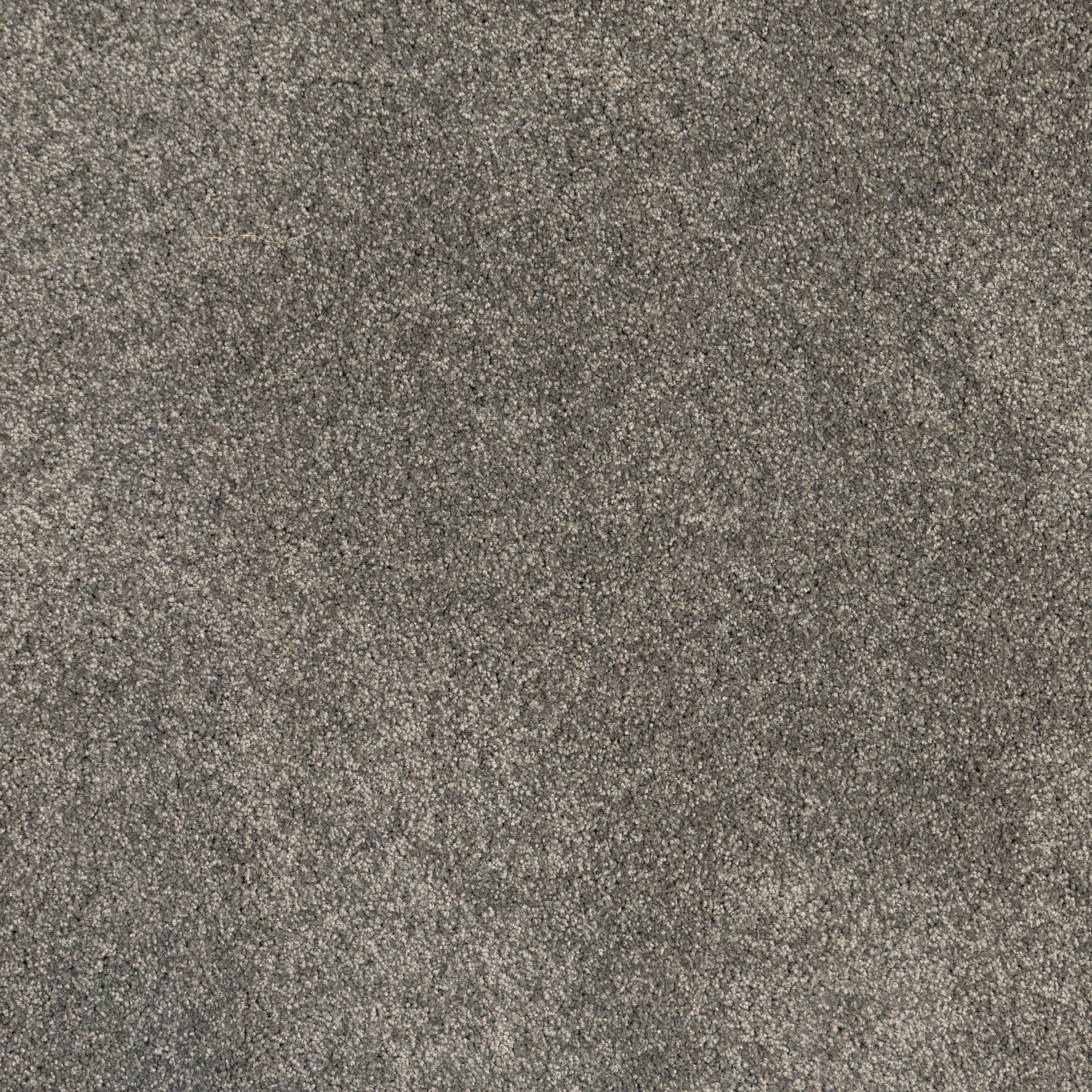 Kingfisher Shag Custom Rug | Graphite - Image 4