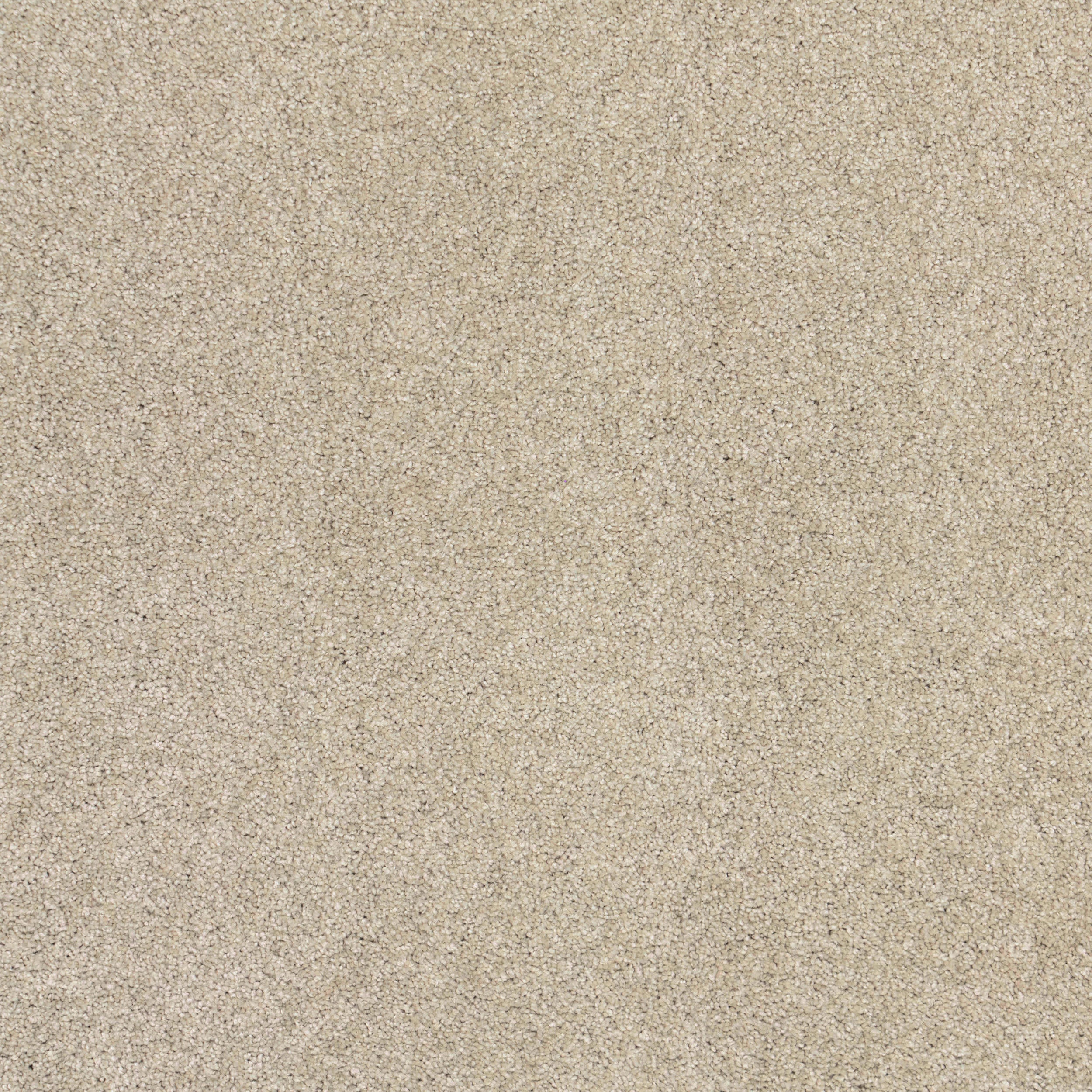 Kingfisher Shag Custom Rug | Light Grey - Image 4