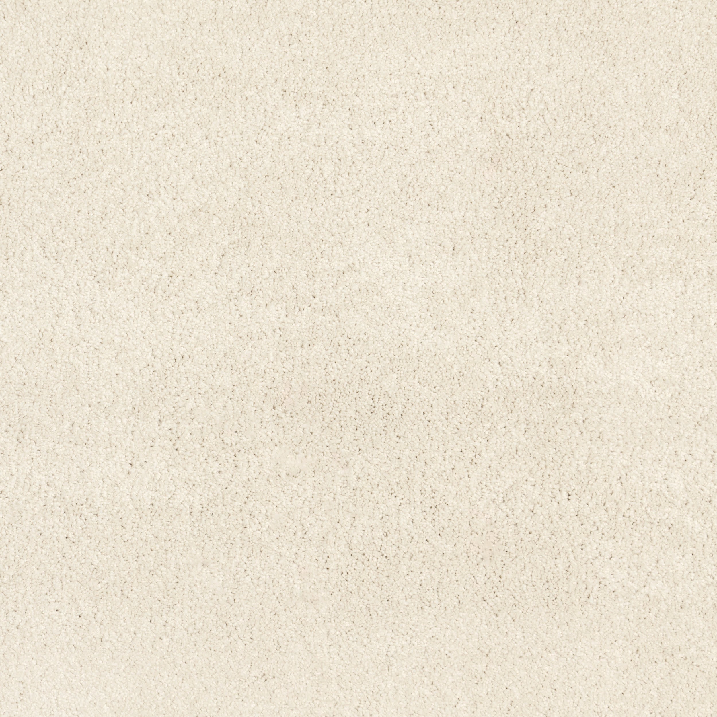 Kingfisher Shag Custom Rug | Pearl - Image 4
