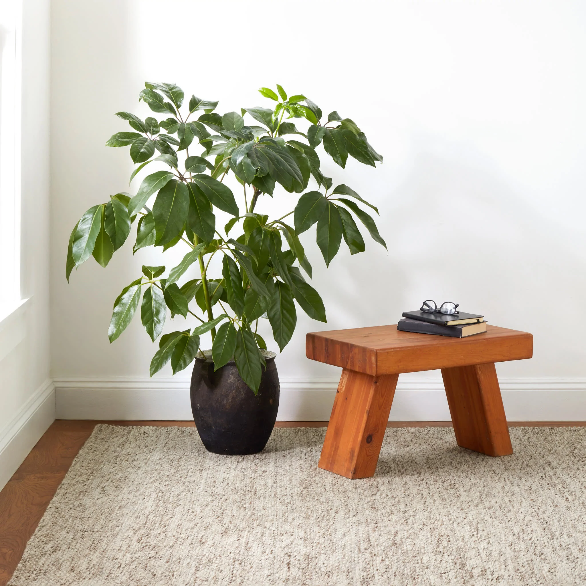 Loggia Handwoven Wool Rug | Natural - Image 2