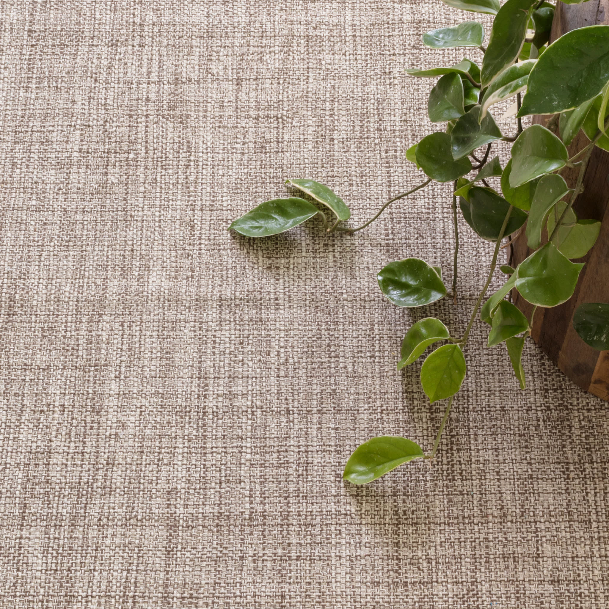 Marled Handwoven Cotton Rug | Brown - Image 2
