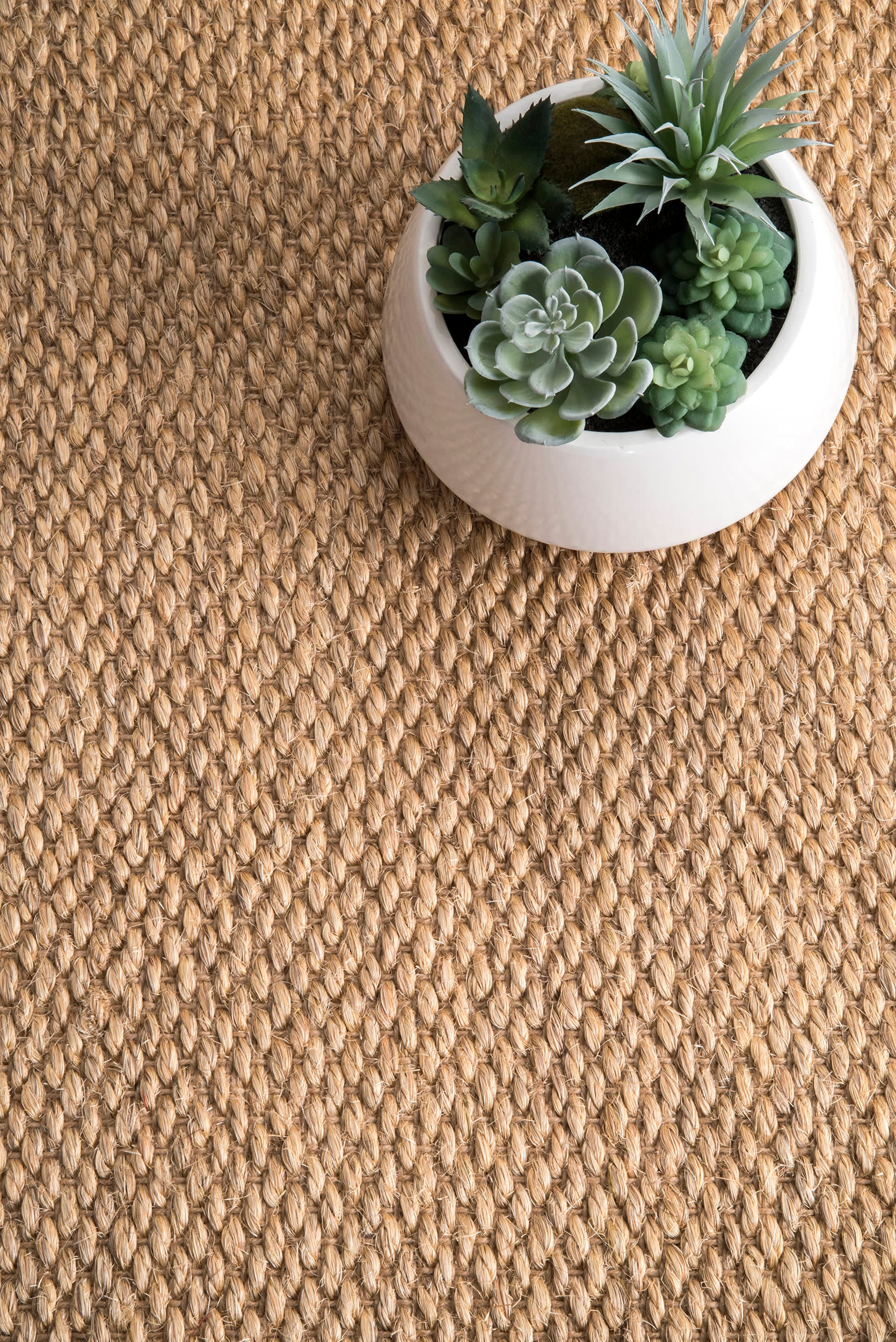 Oak Sisal Rug | Sand - Image 4