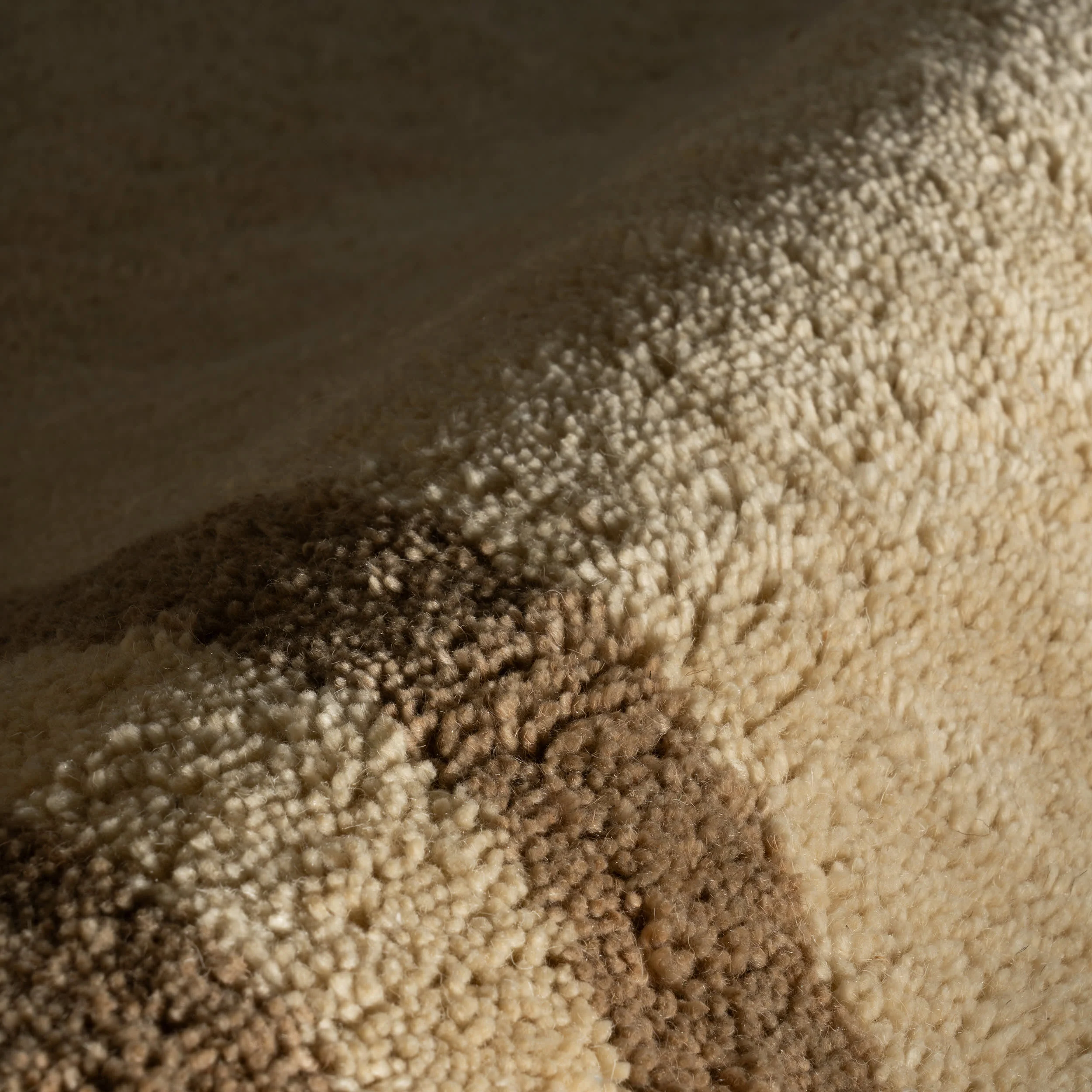 Orlina Bordered Rug | Brown - Image 7