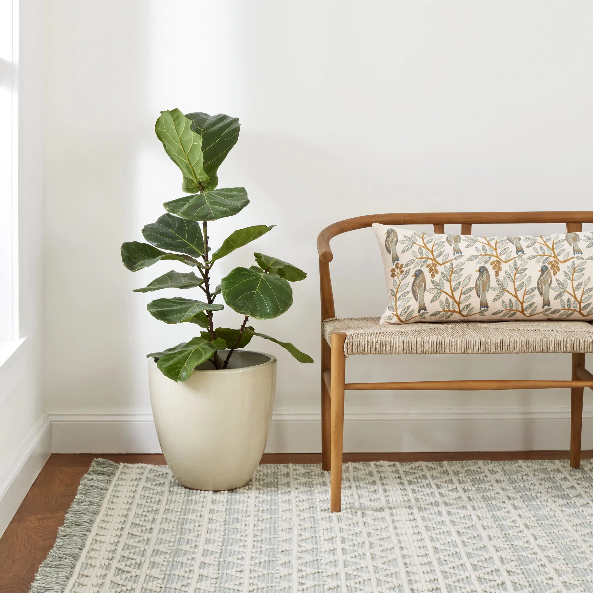 Pembrook Handwoven Wool Rug | Desert Sage - Image 3