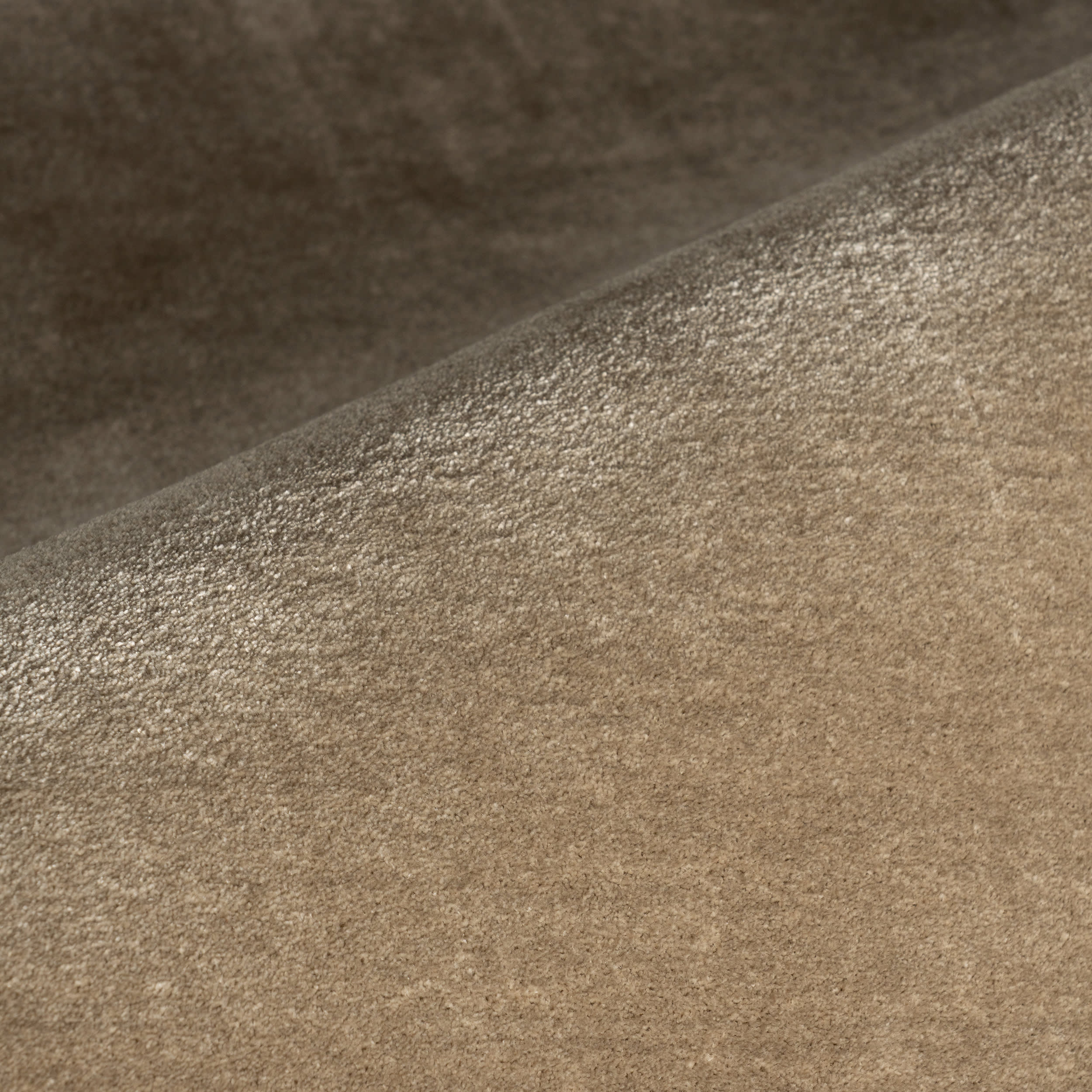 Ranya Modern Solid Rug | Beige - Image 3