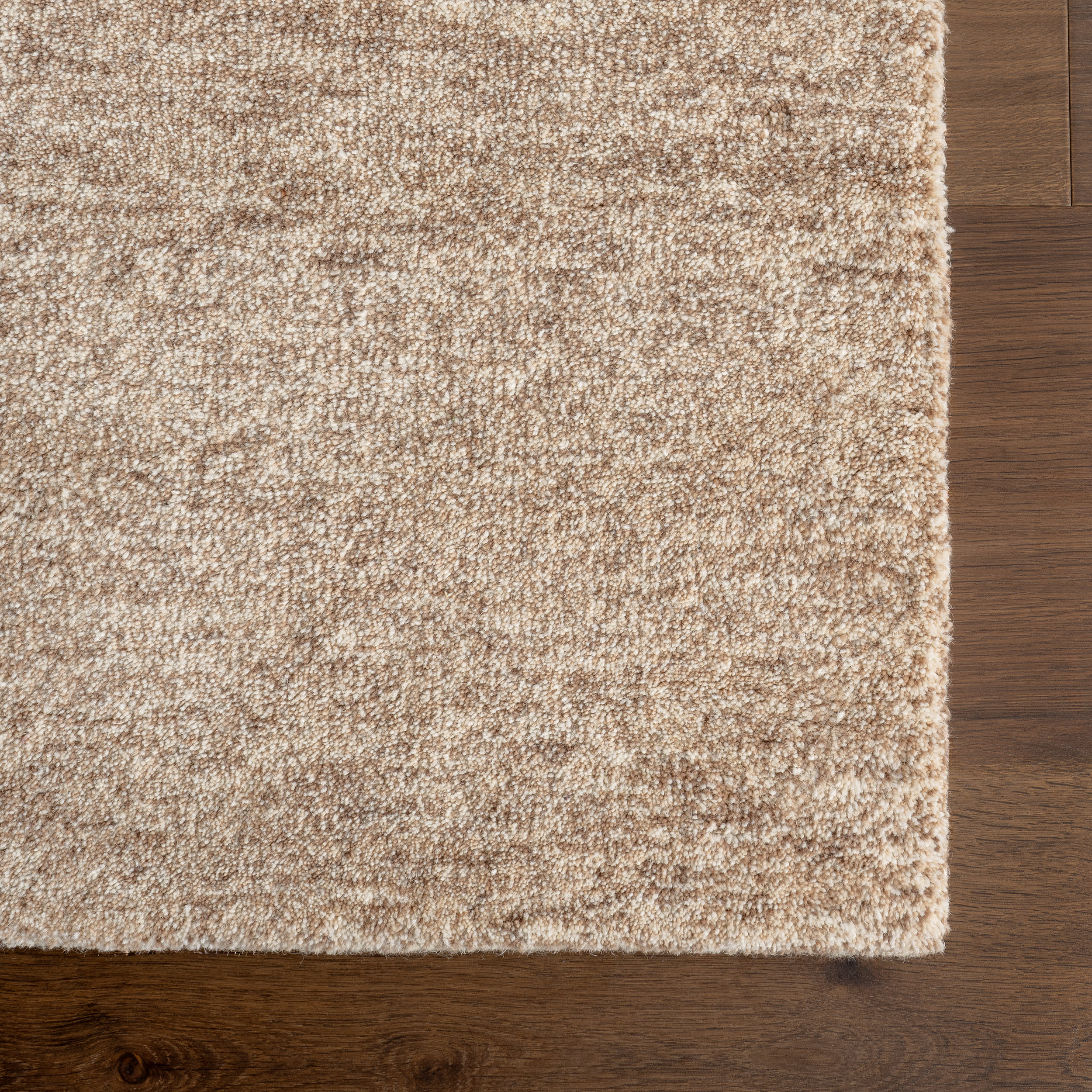 Ridgewood Wool Monochromatic Rug | Tan - Image 4