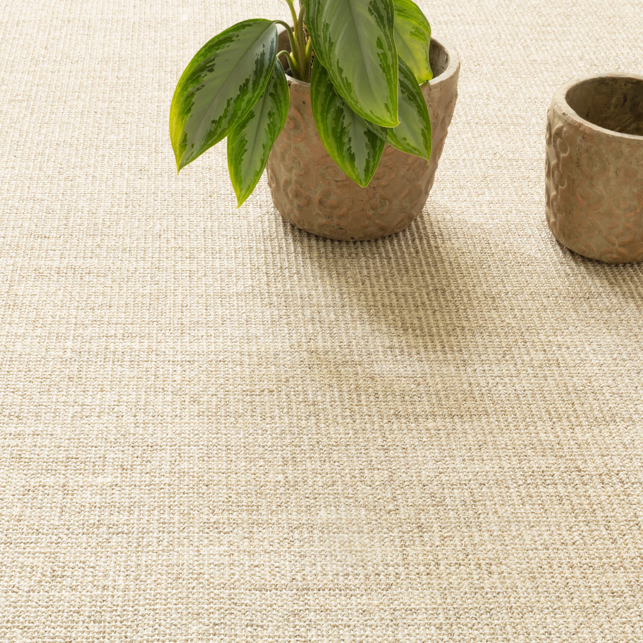 Shire Woven Sisal Custom Rug | Light Grey - Image 2