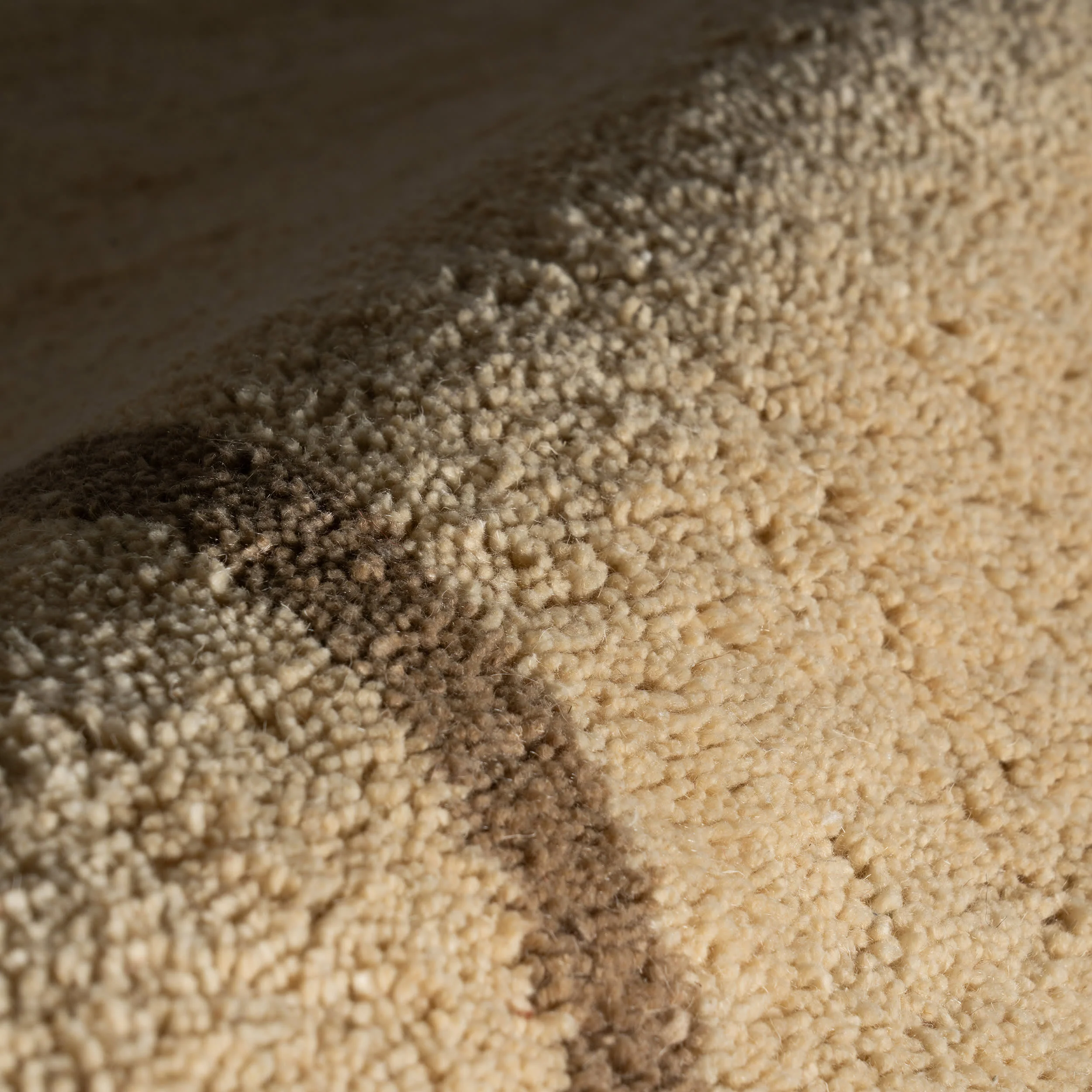 Sivra Bordered Rug | Sand - Image 8