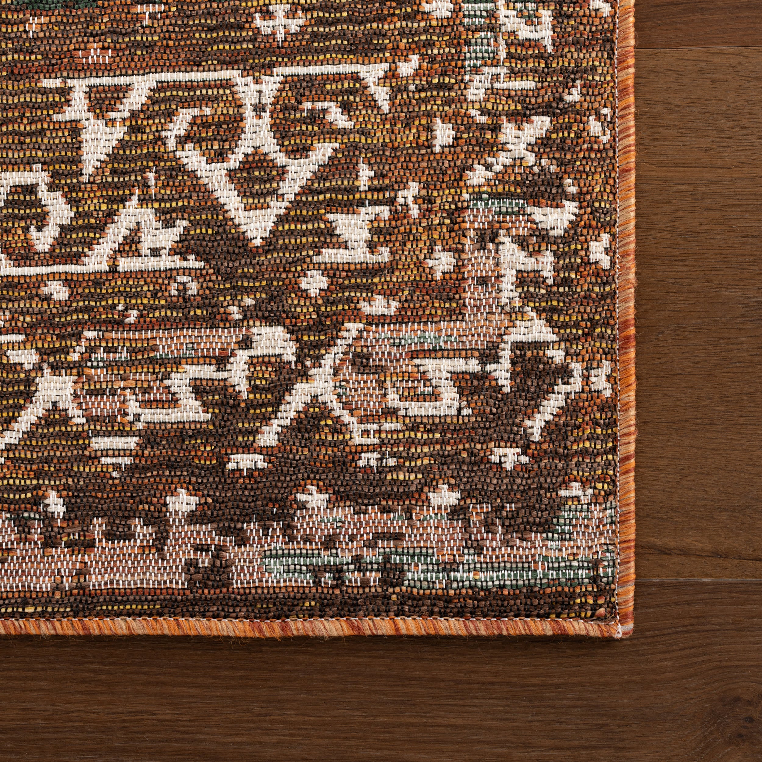 Solia Traditional Medallion Indoor/Outdoor Rug | Brown - Image 4