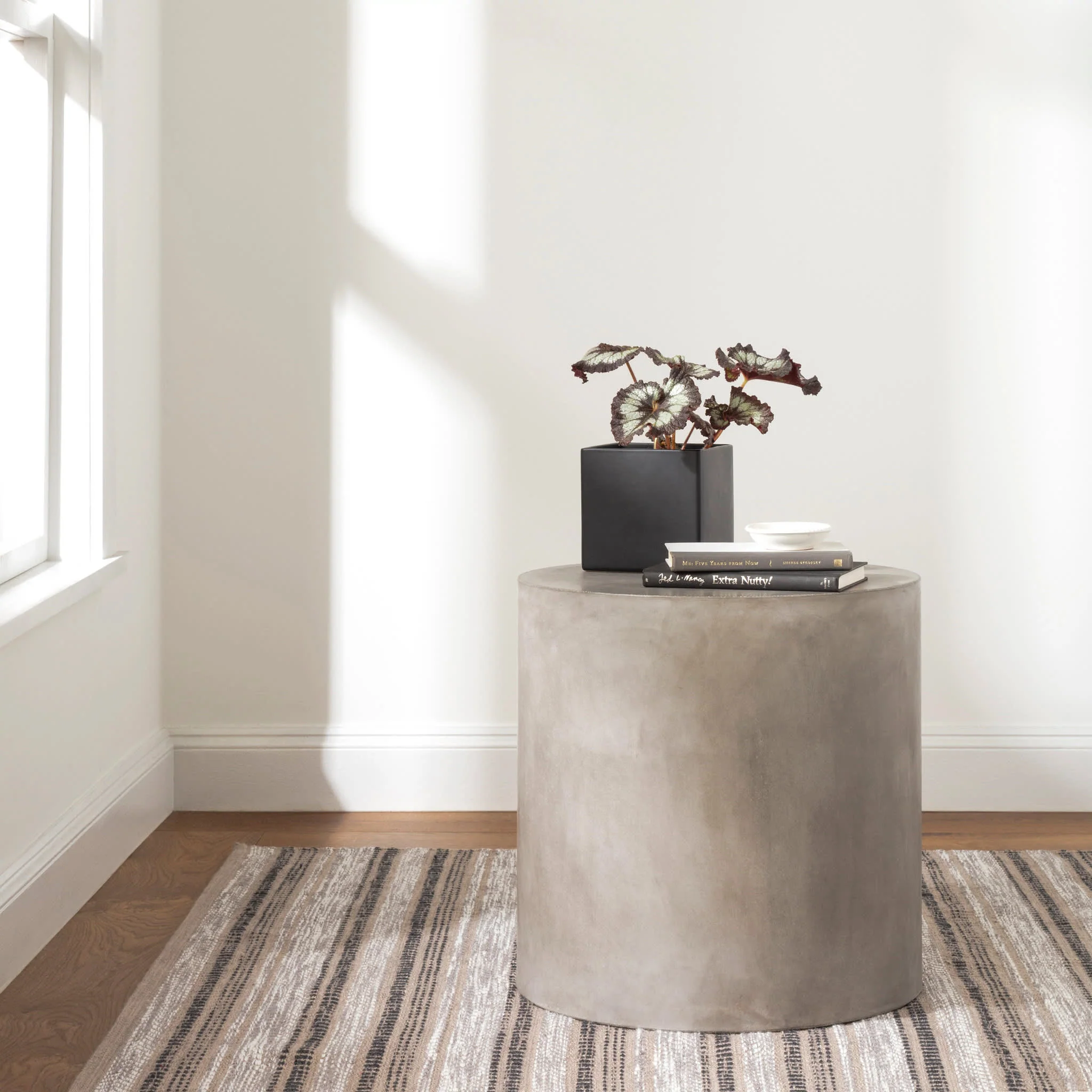 Sooner Than Later Handwoven Indoor/Outdoor Rug | Neutral - Image 2