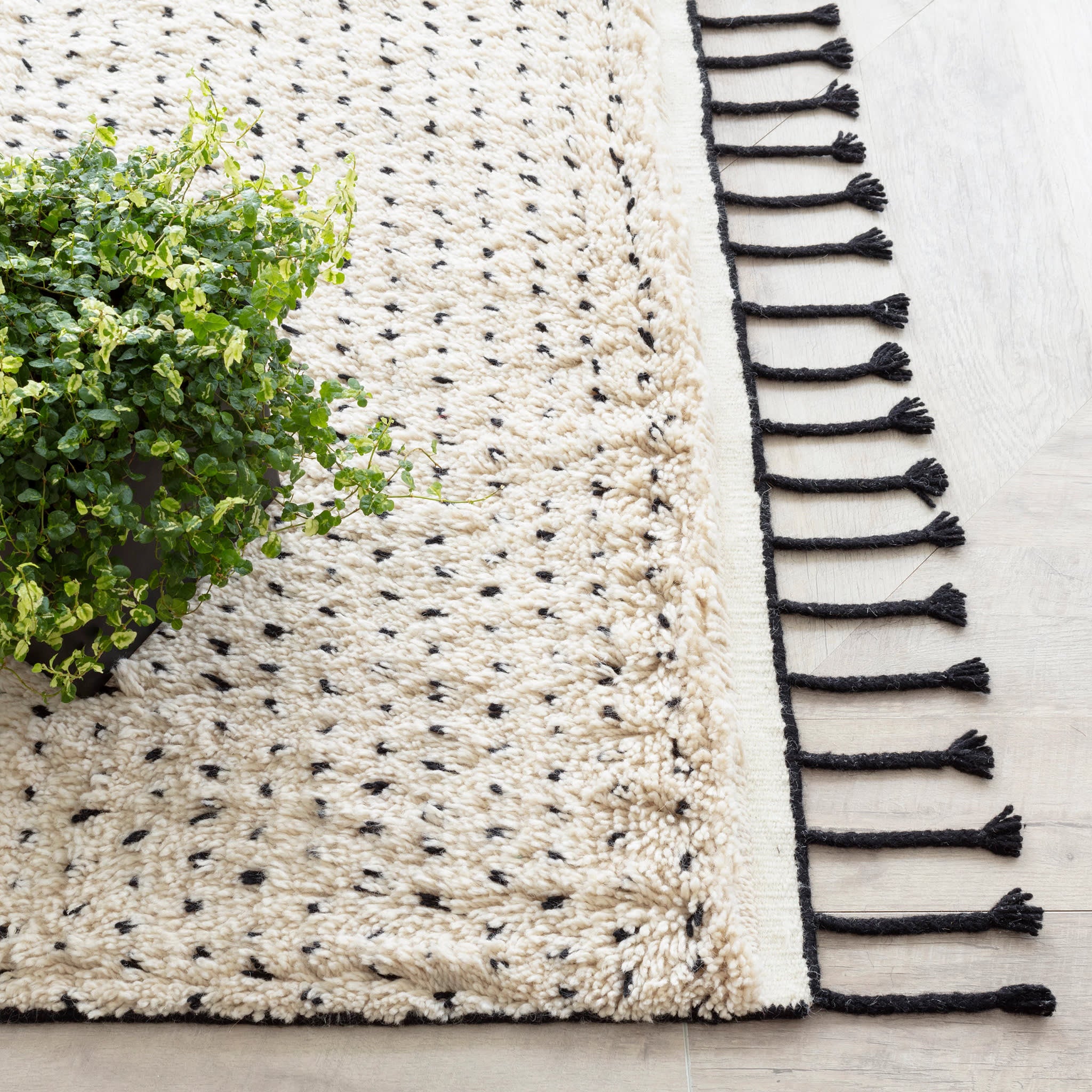 Speck Hand Knotted Wool Rug | Black - Image 3