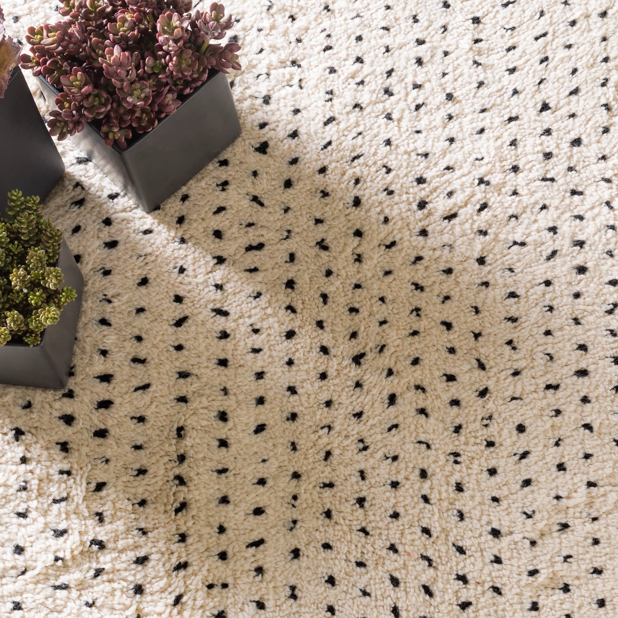 Speck Hand Knotted Wool Rug | Black - Image 4