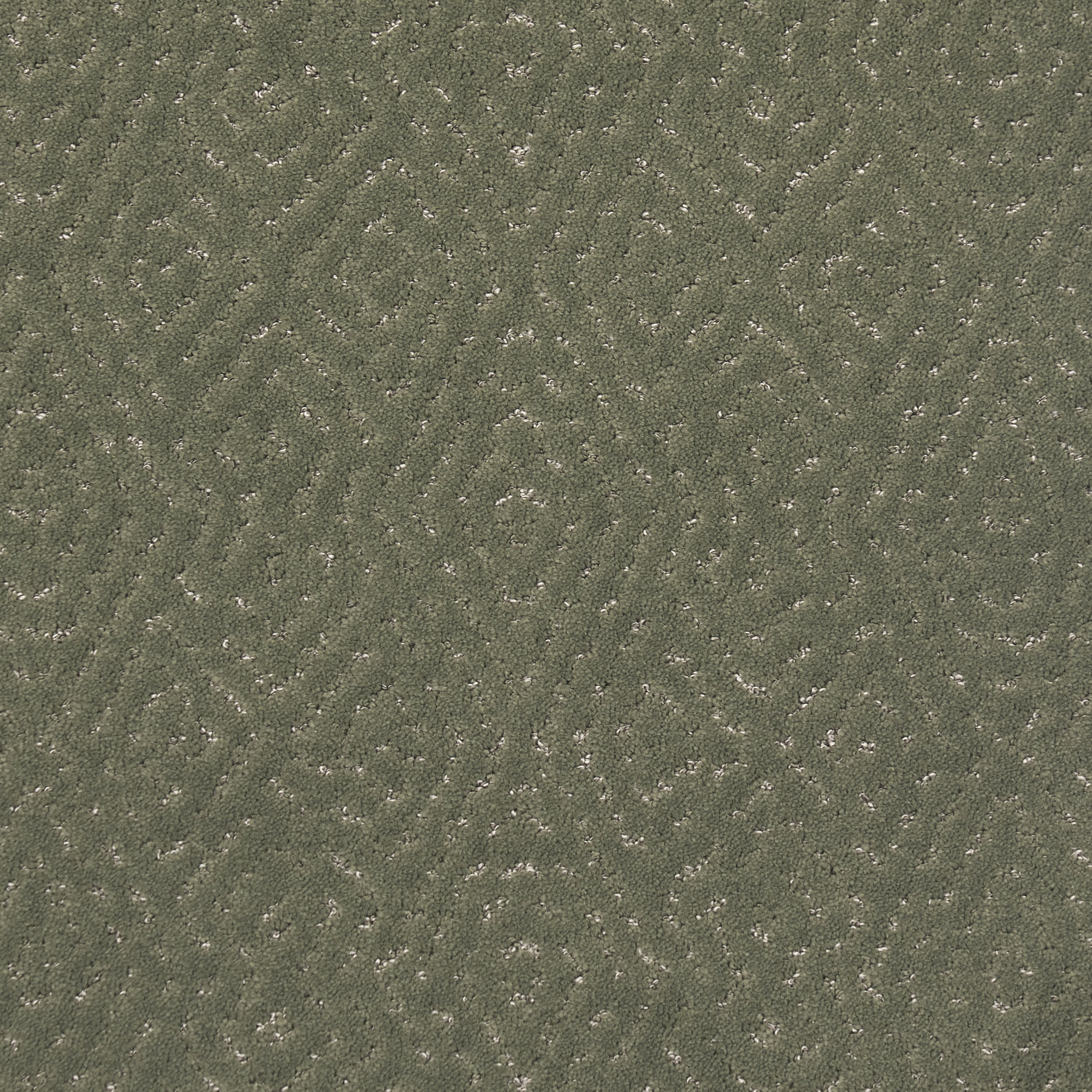 Swallowtail Trellis Custom Rug | Sage Green - Image 4